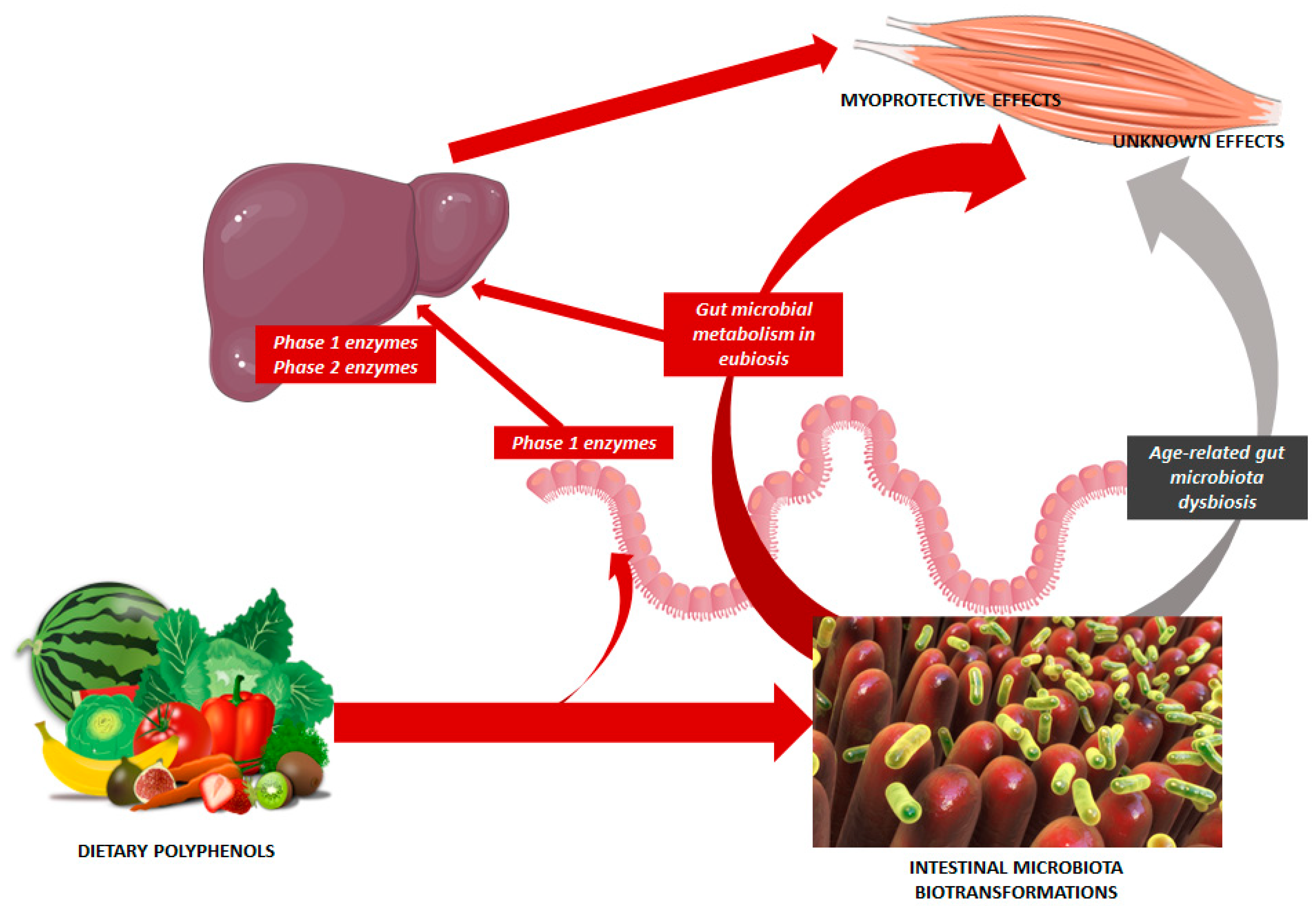 Nutrients 15 02367 g001 Nutrients 15 02367 g001
