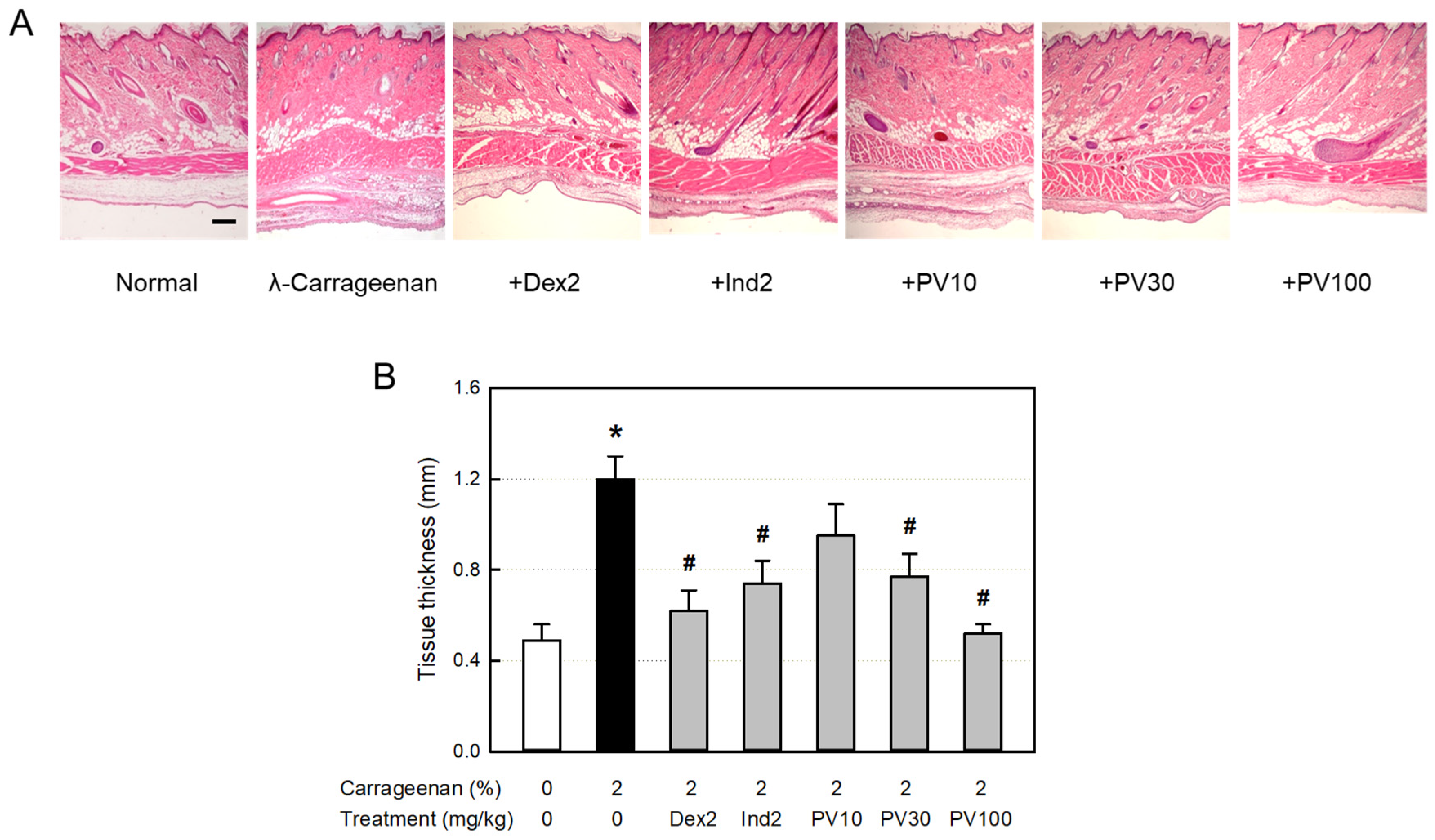 Nutrients 15 02376 g007