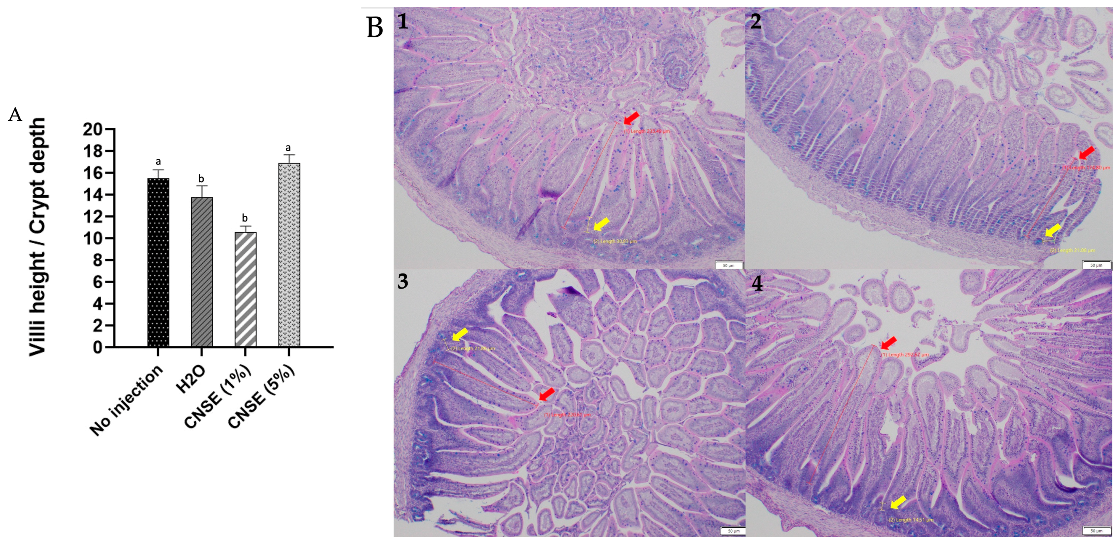 Nutrients 15 02378 g002 Nutrients 15 02378 g002