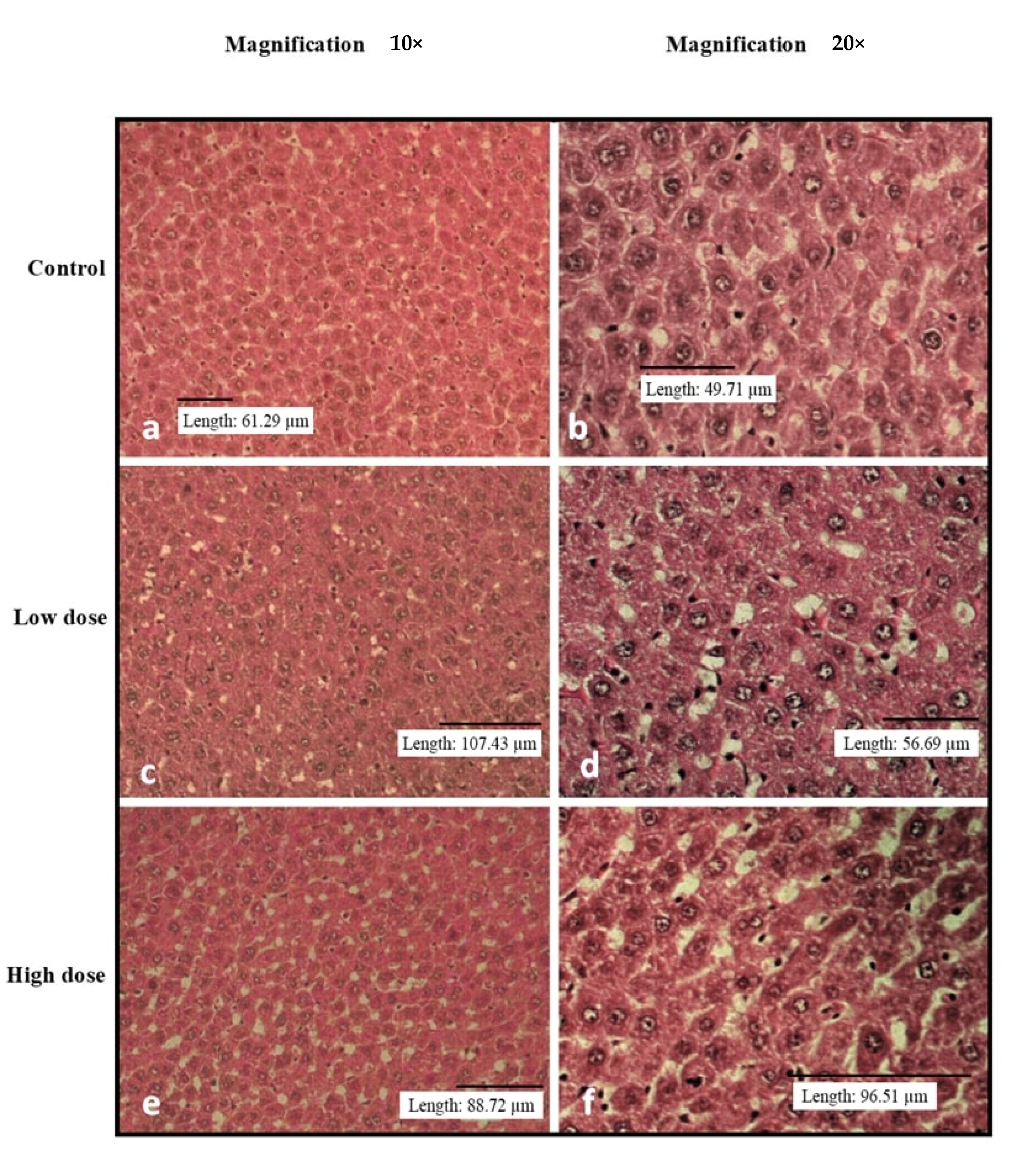 Nutrients 15 02390 g002