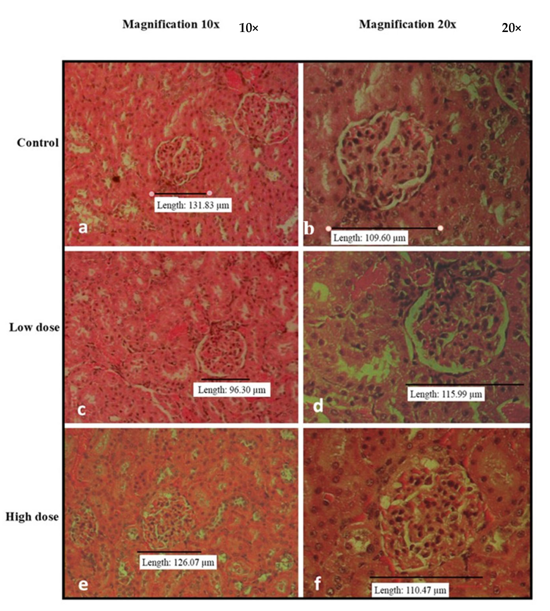 Nutrients 15 02390 g003