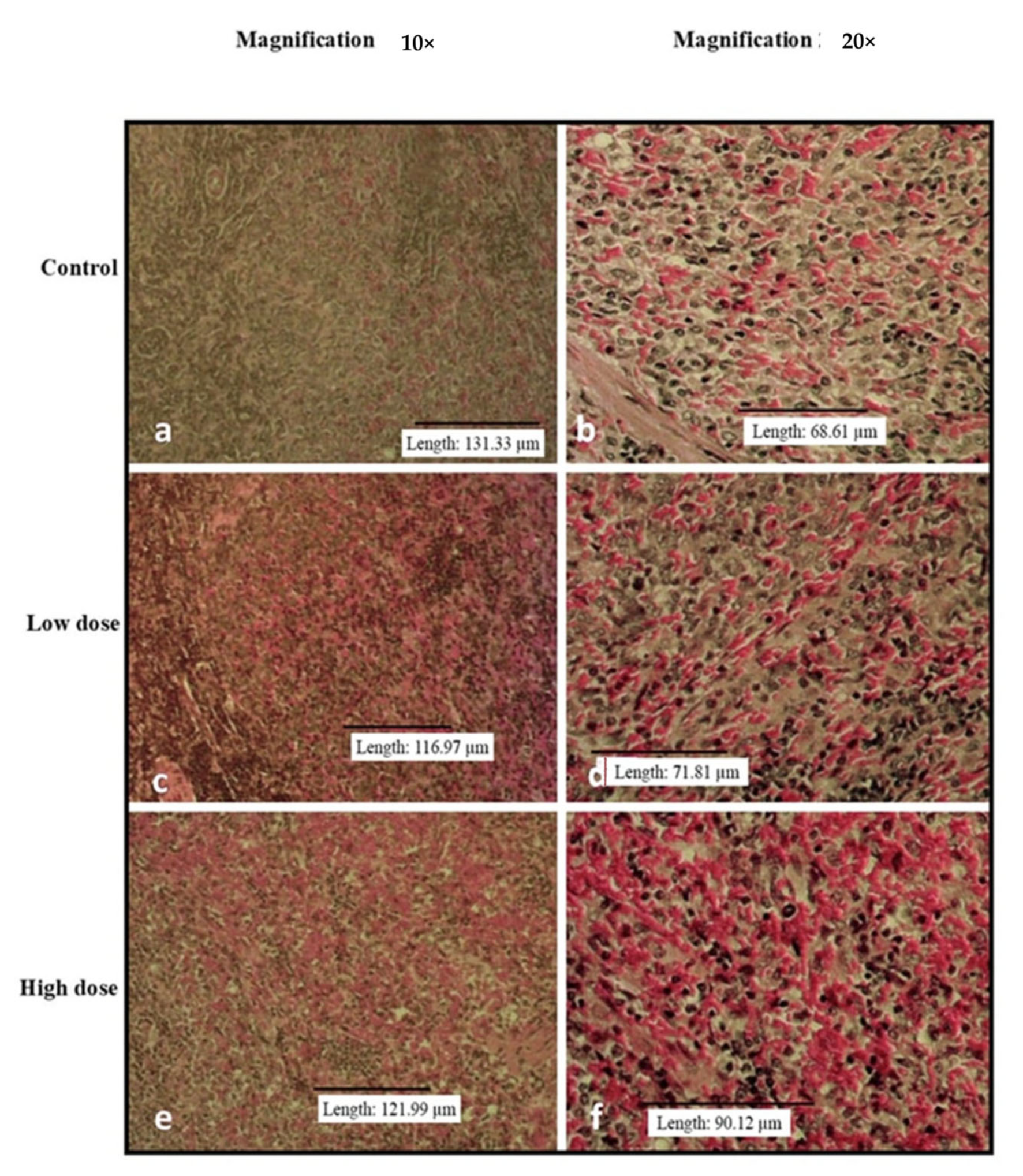 Nutrients 15 02390 g004