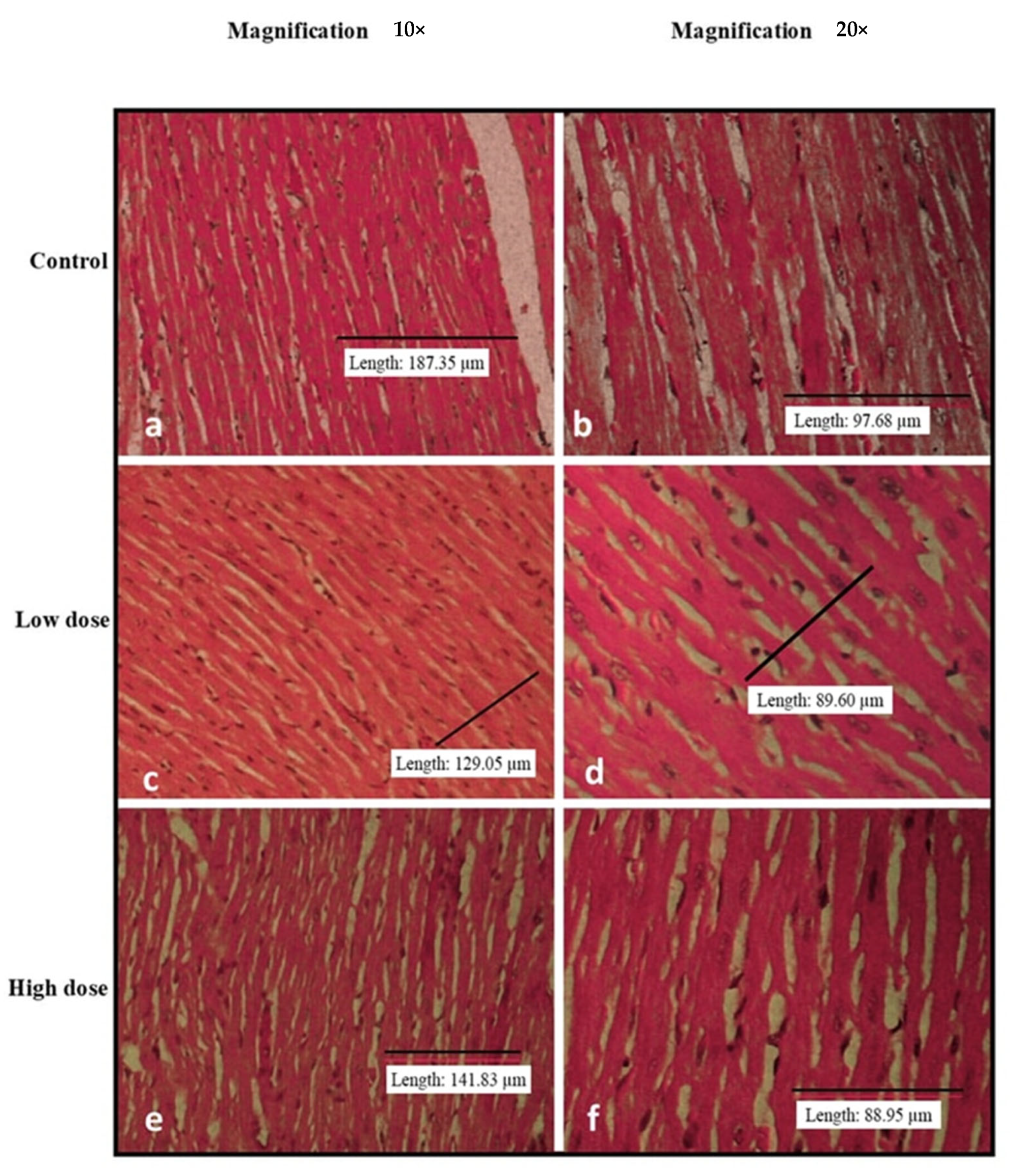 Nutrients 15 02390 g005