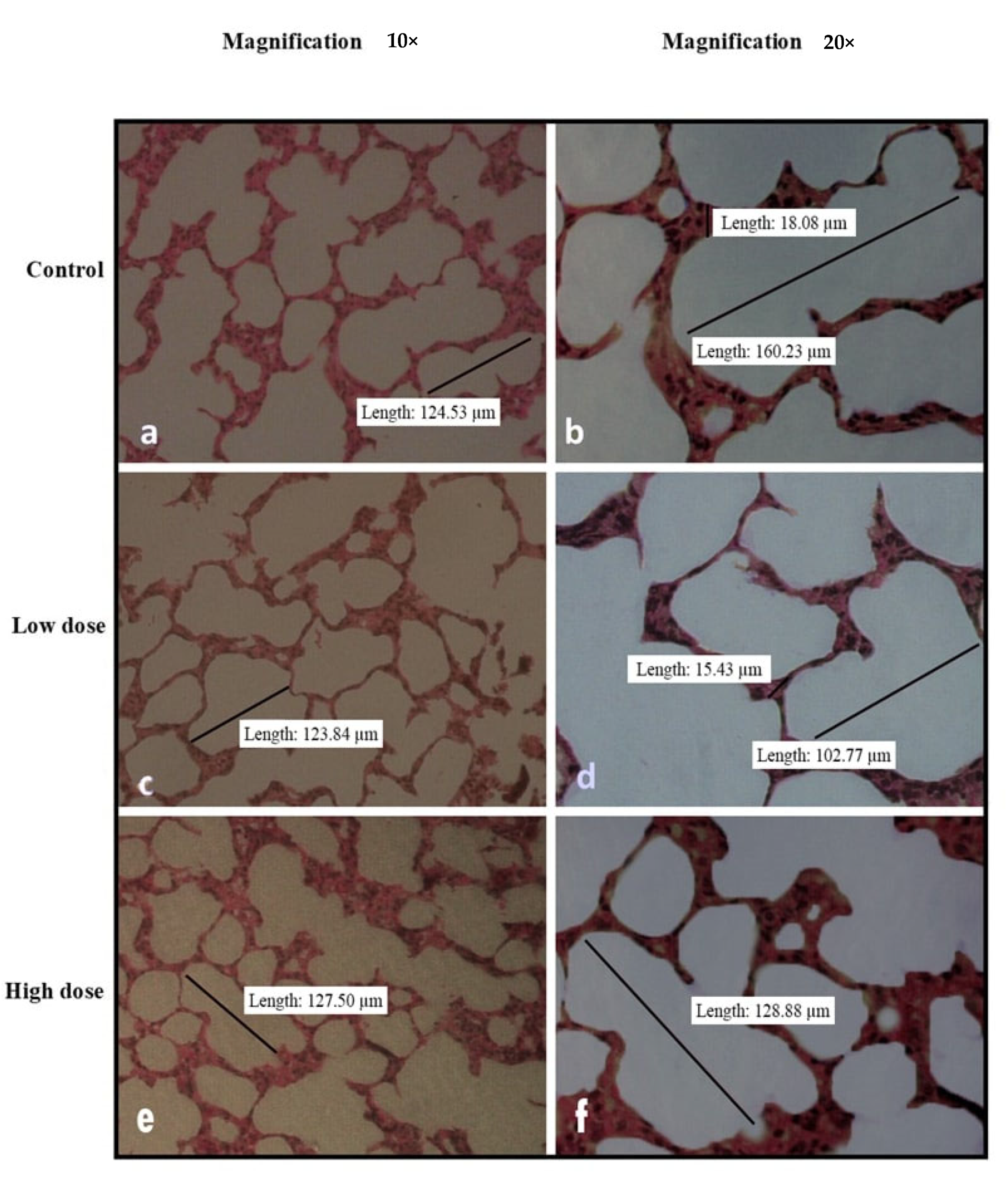 Nutrients 15 02390 g006