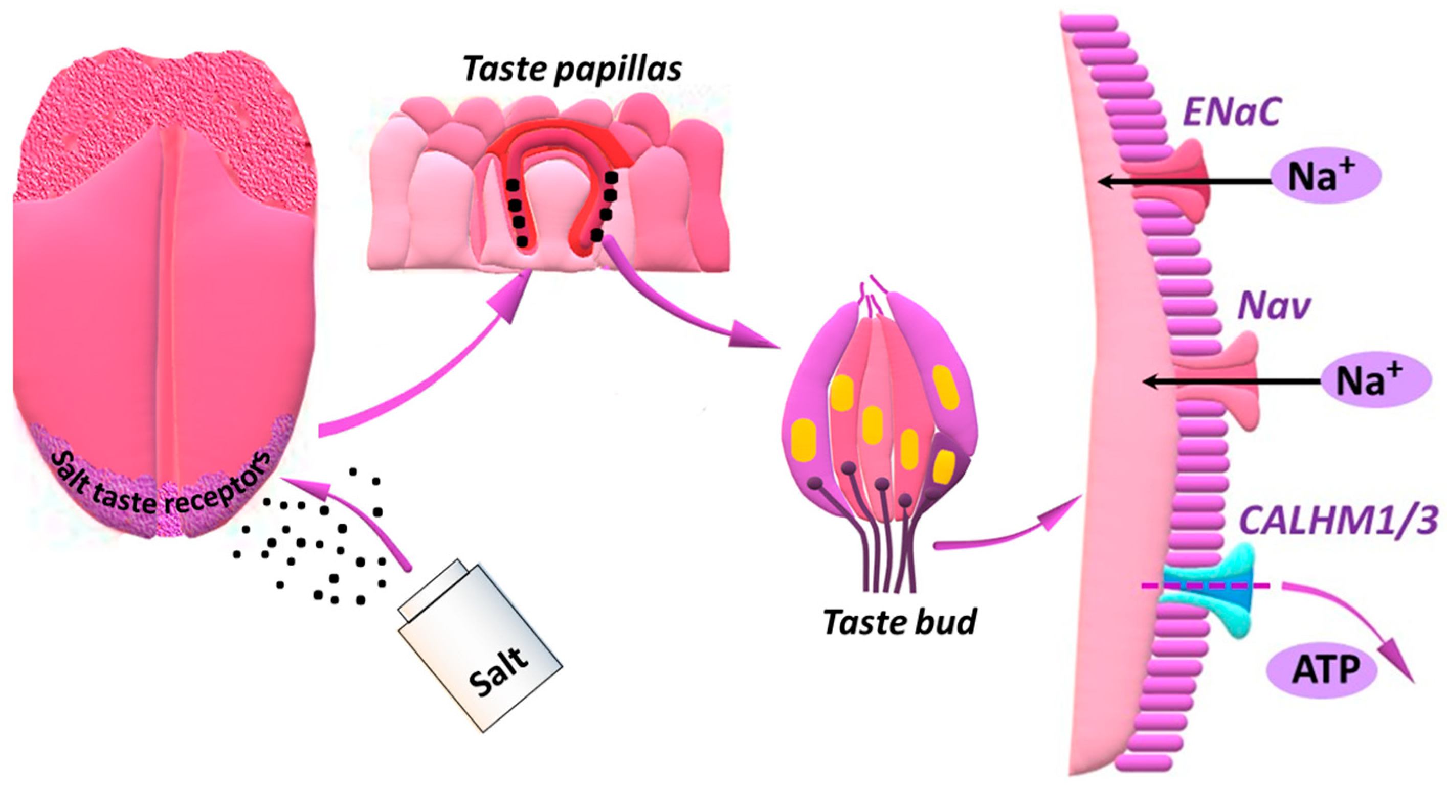 Nutrients 15 02393 g002