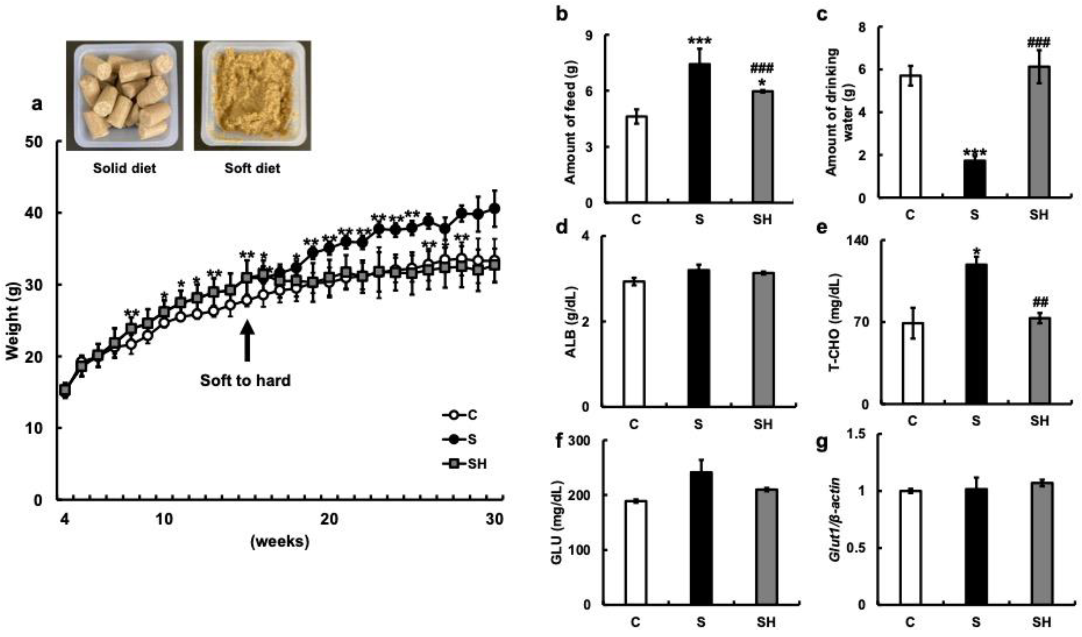 Nutrients Free Full Text Long Term Soft Food Rearing In Young Mice nutrients-free-full-text-long-term-soft-food-rearing-in-young-mice