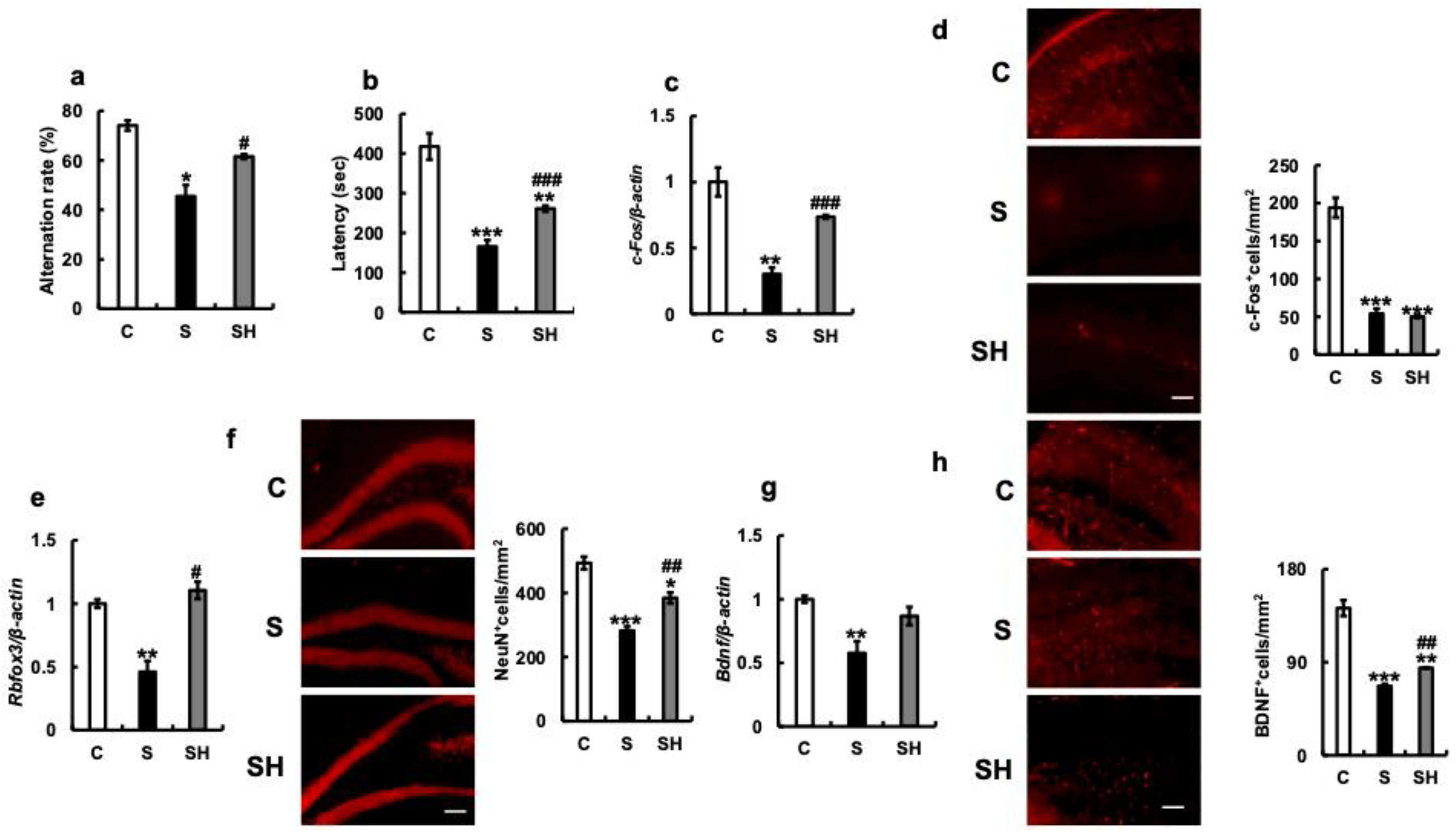 Nutrients 15 02397 g002 Nutrients 15 02397 g002