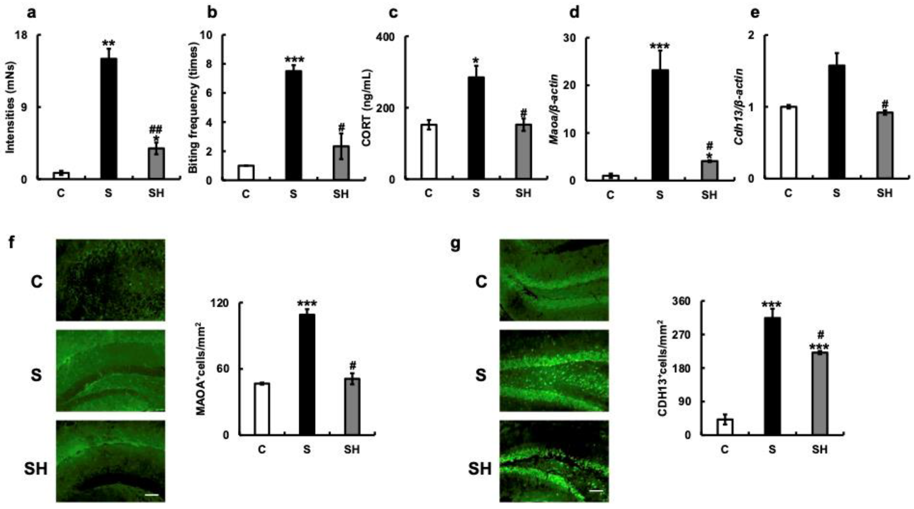 Nutrients 15 02397 g004 Nutrients 15 02397 g004