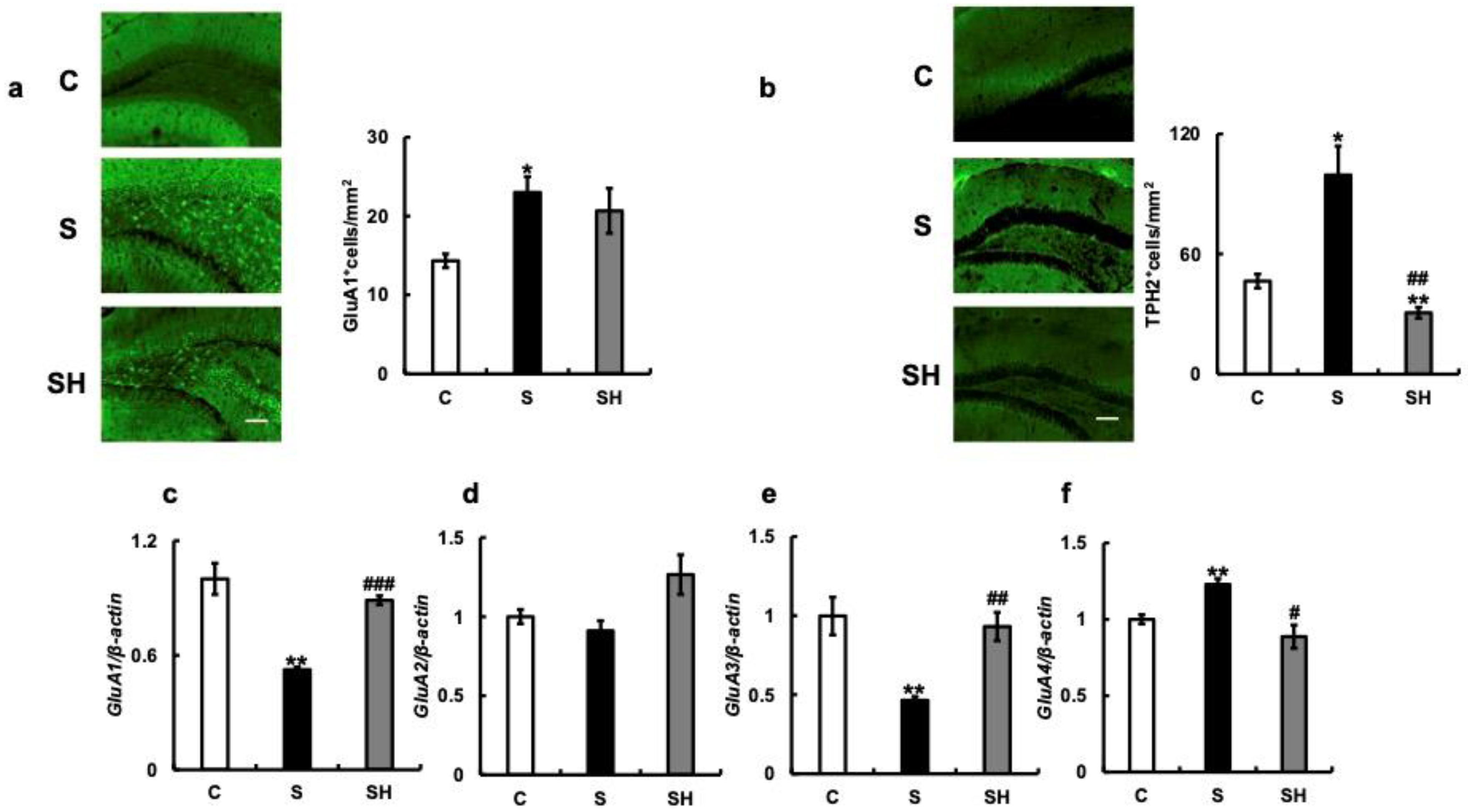 Nutrients 15 02397 g006 Nutrients 15 02397 g006