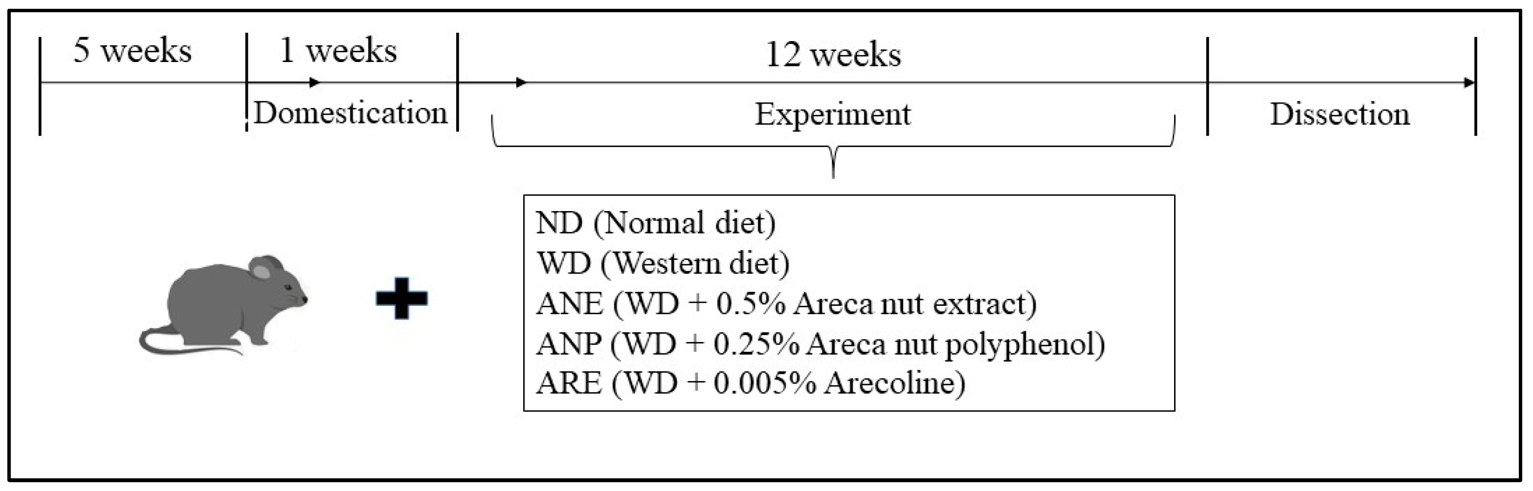 Nutrients 15 02403 g001 Nutrients 15 02403 g001