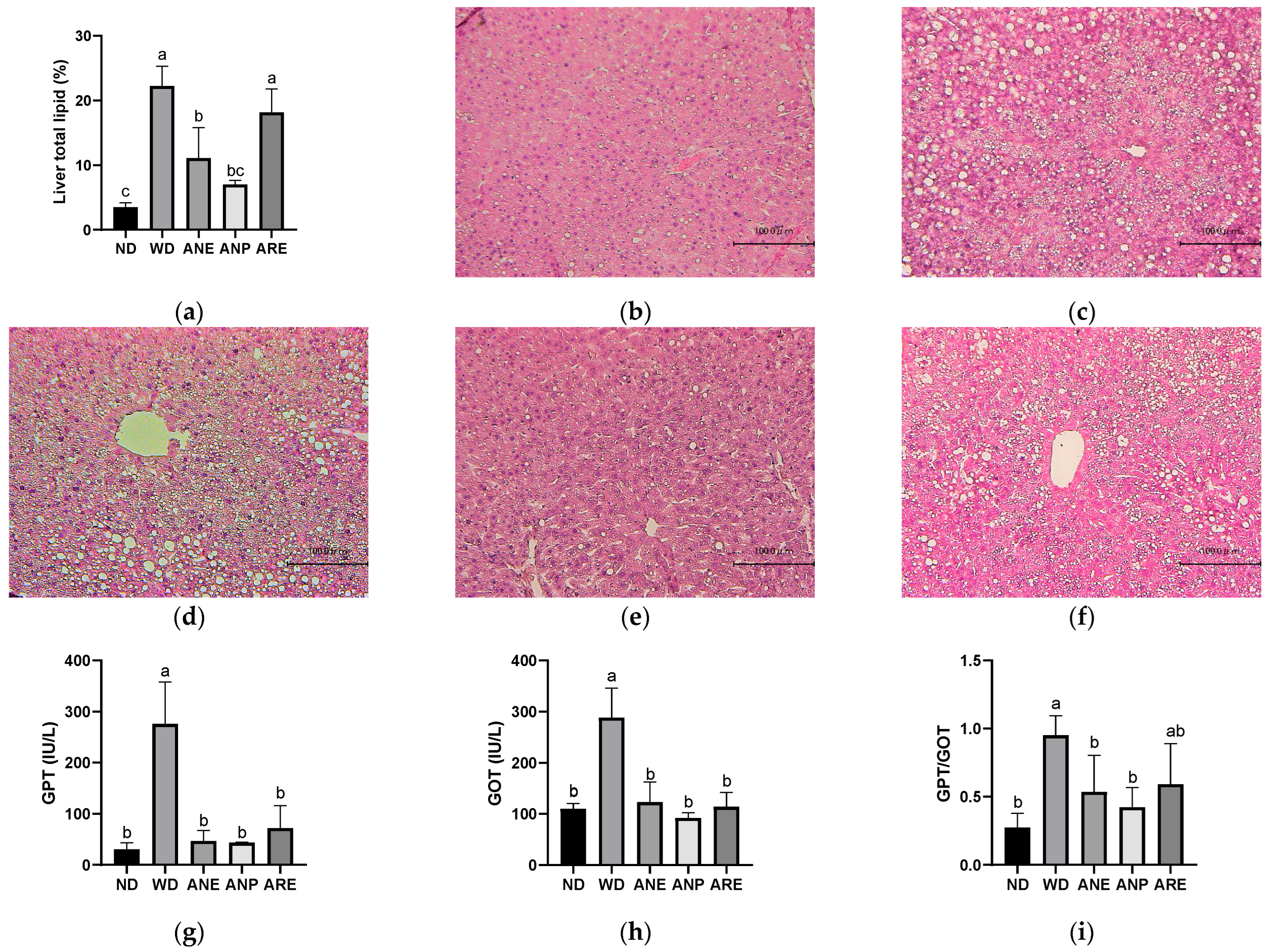 Nutrients 15 02403 g003 Nutrients 15 02403 g003