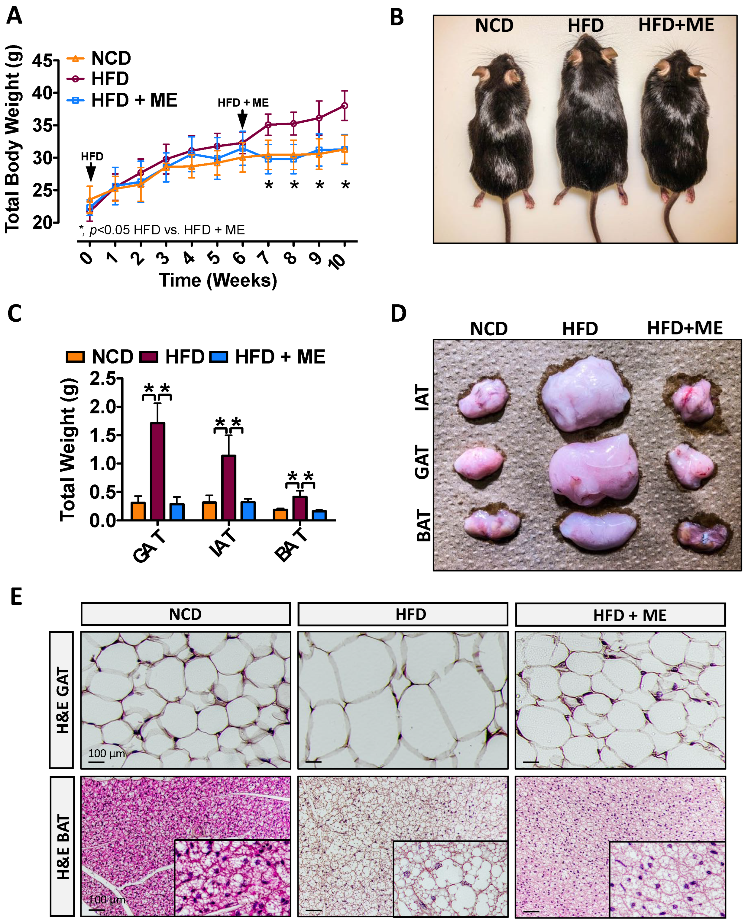 Nutrients 15 02410 g001 Nutrients 15 02410 g001
