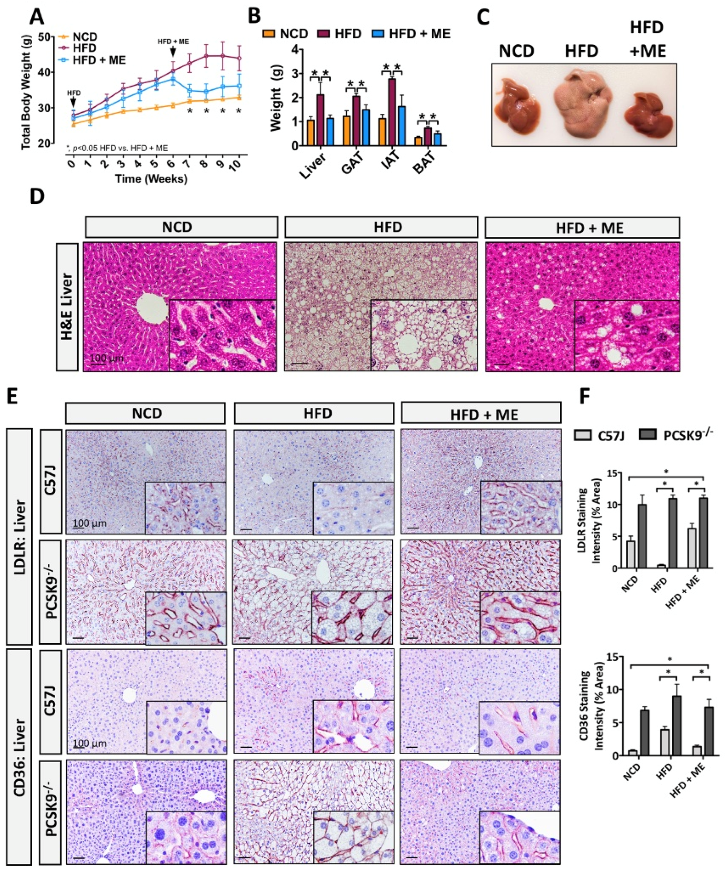 Nutrients 15 02410 g006 Nutrients 15 02410 g006