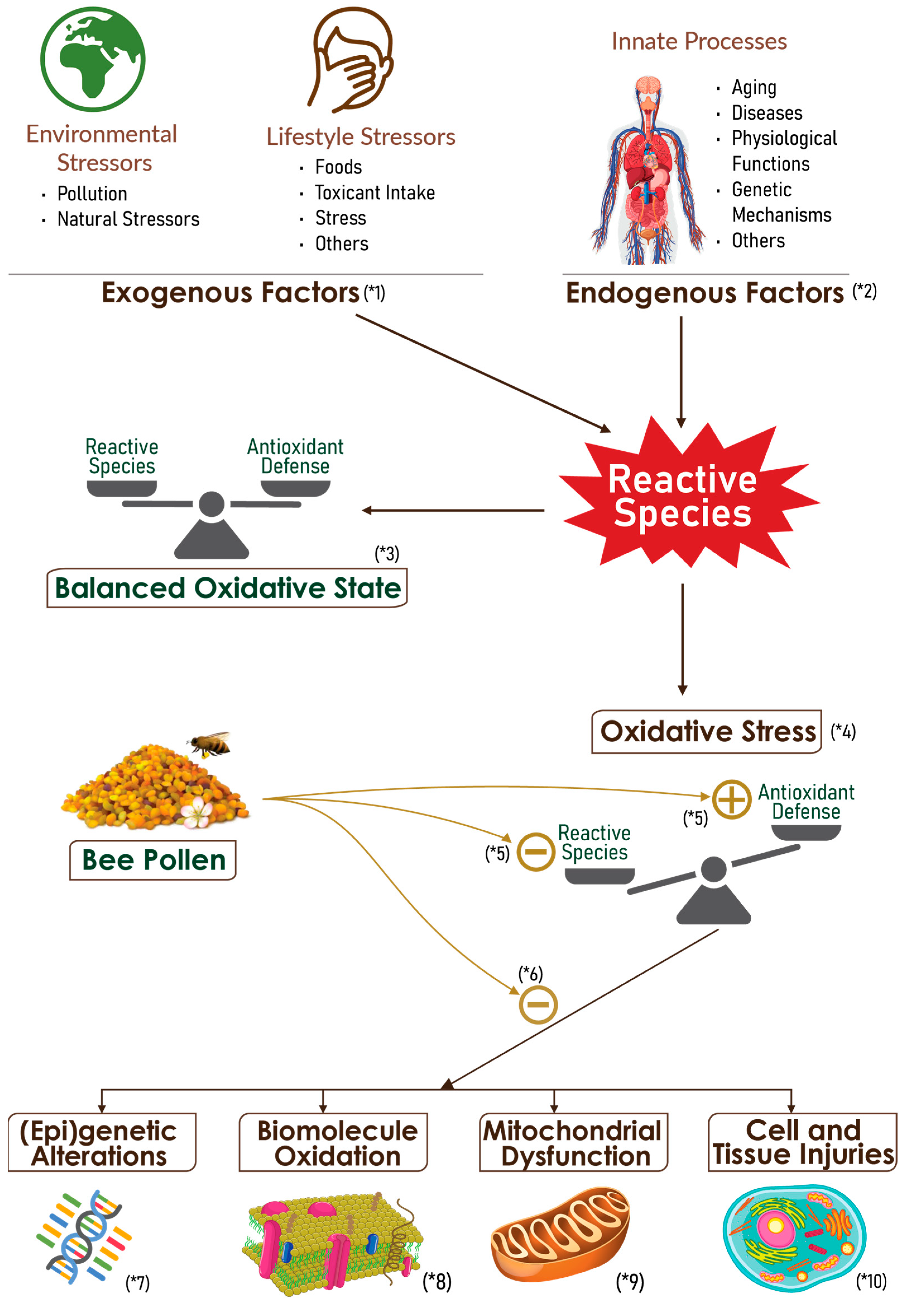 Nutrients 15 02413 g003