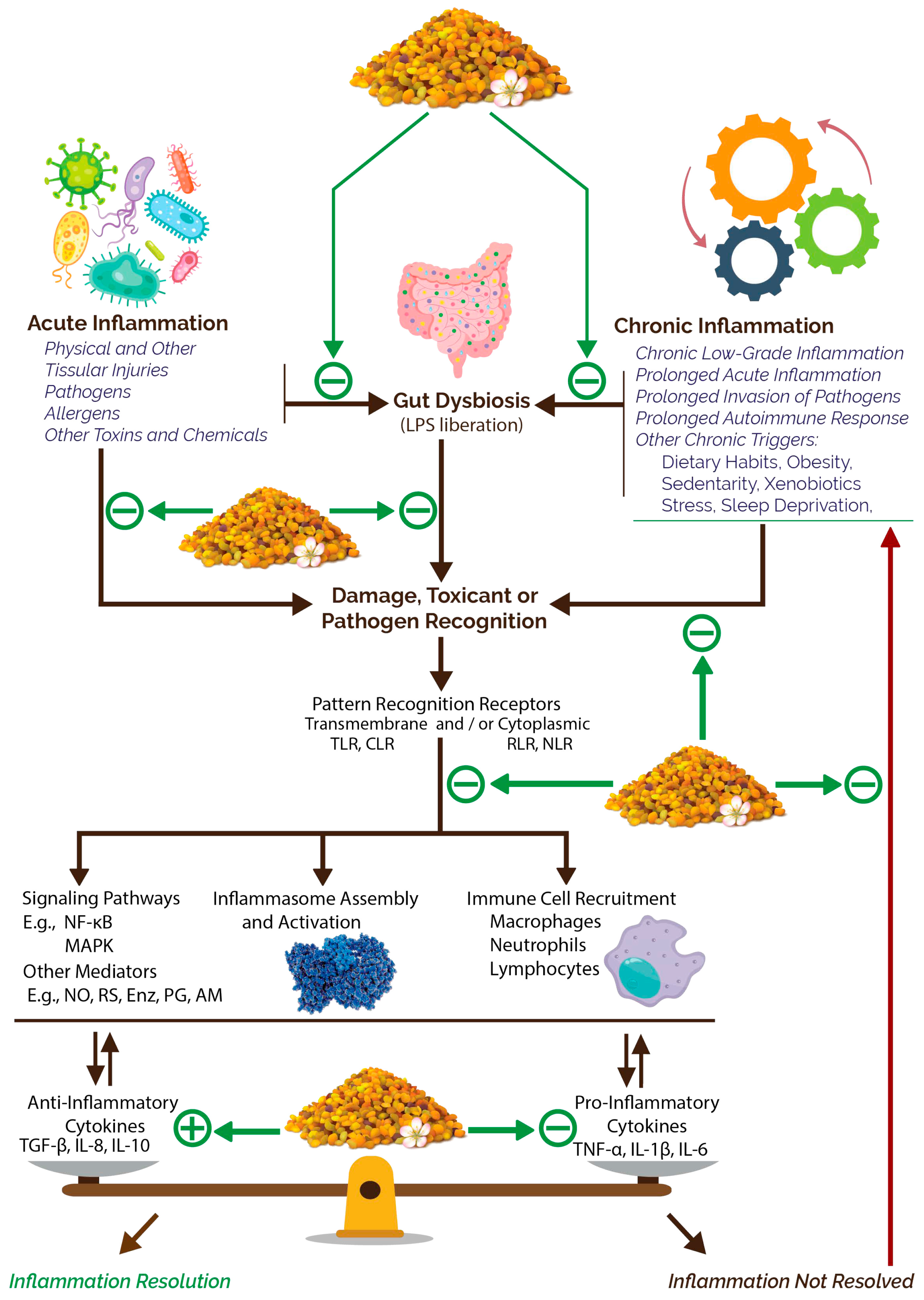 Nutrients 15 02413 g004