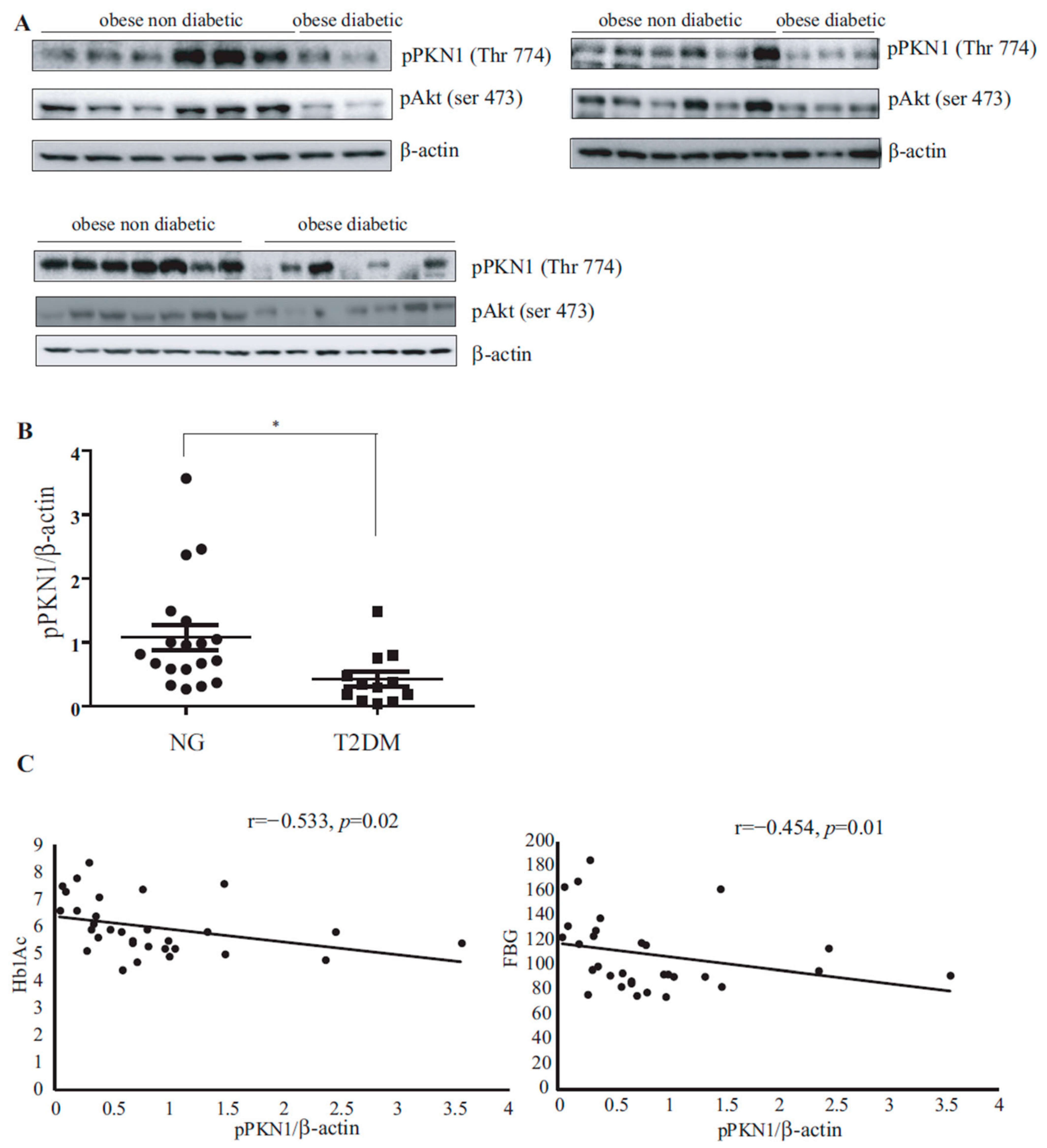 Nutrients 15 02414 g001 Nutrients 15 02414 g001