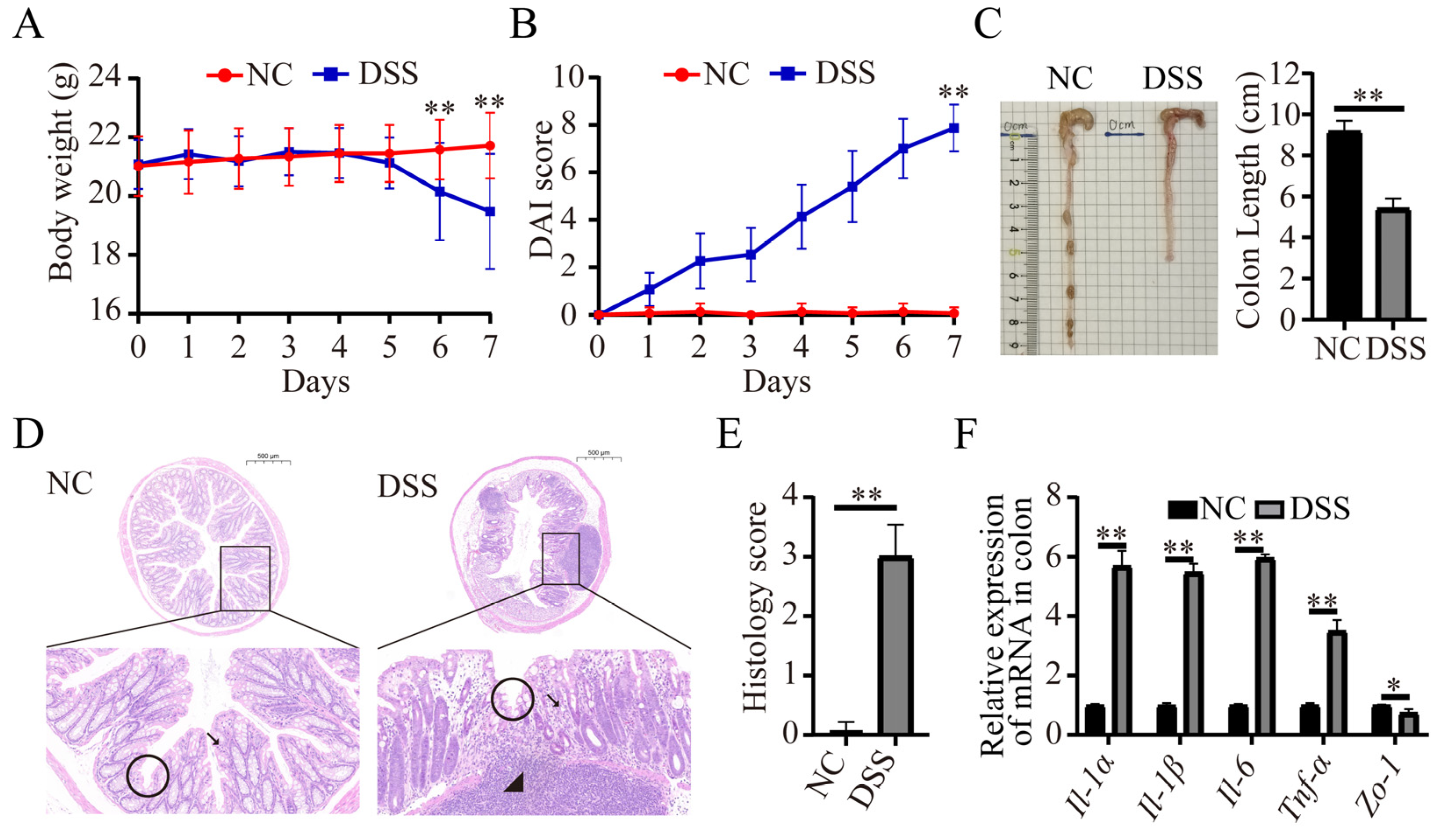 Nutrients 15 02425 g001