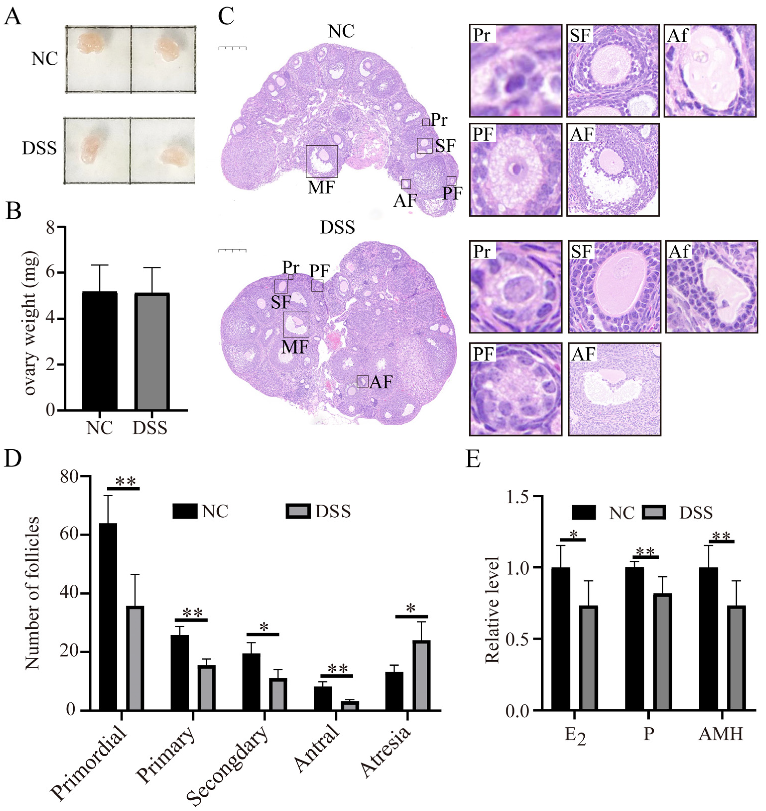 Nutrients 15 02425 g005