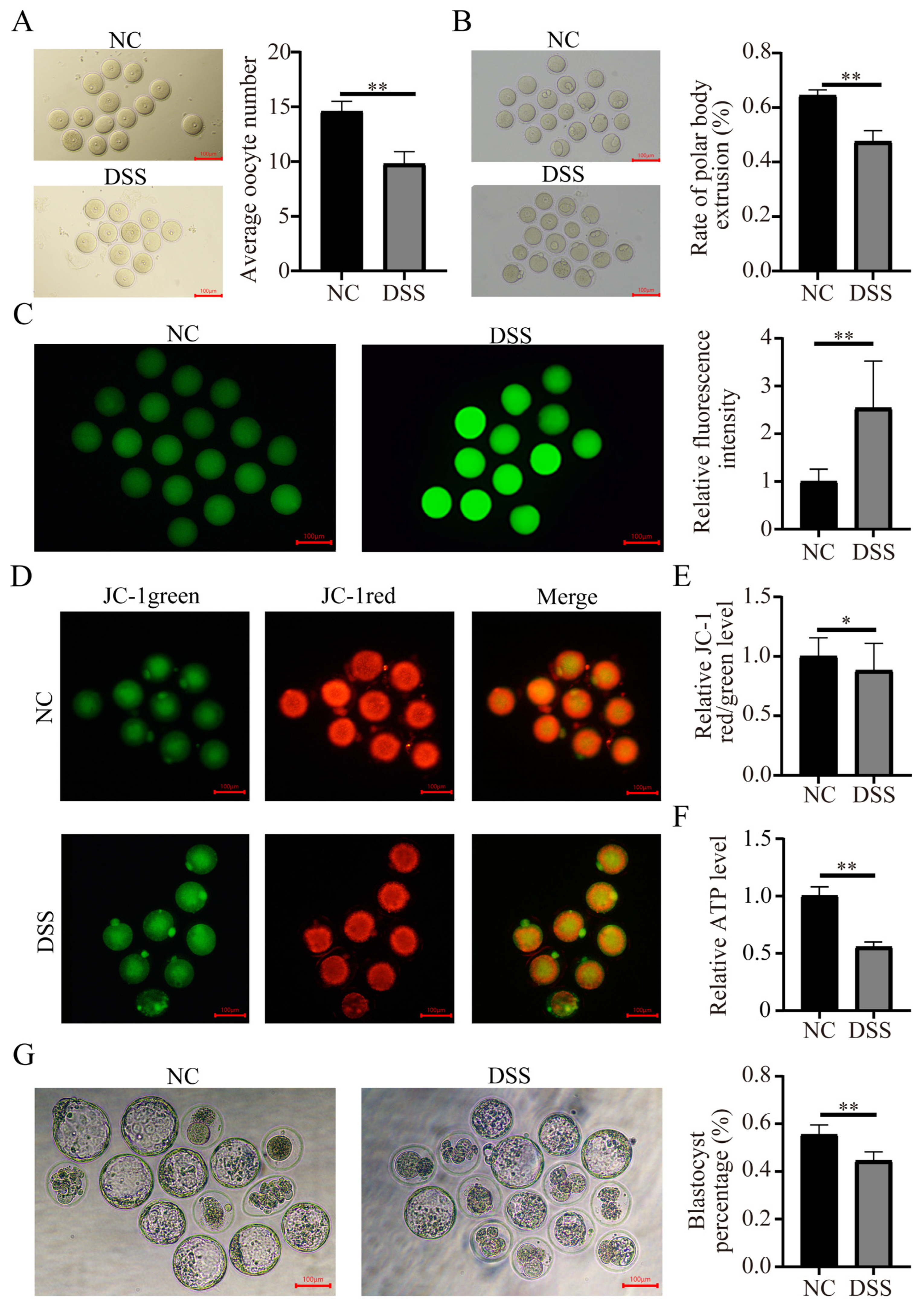 Nutrients 15 02425 g006