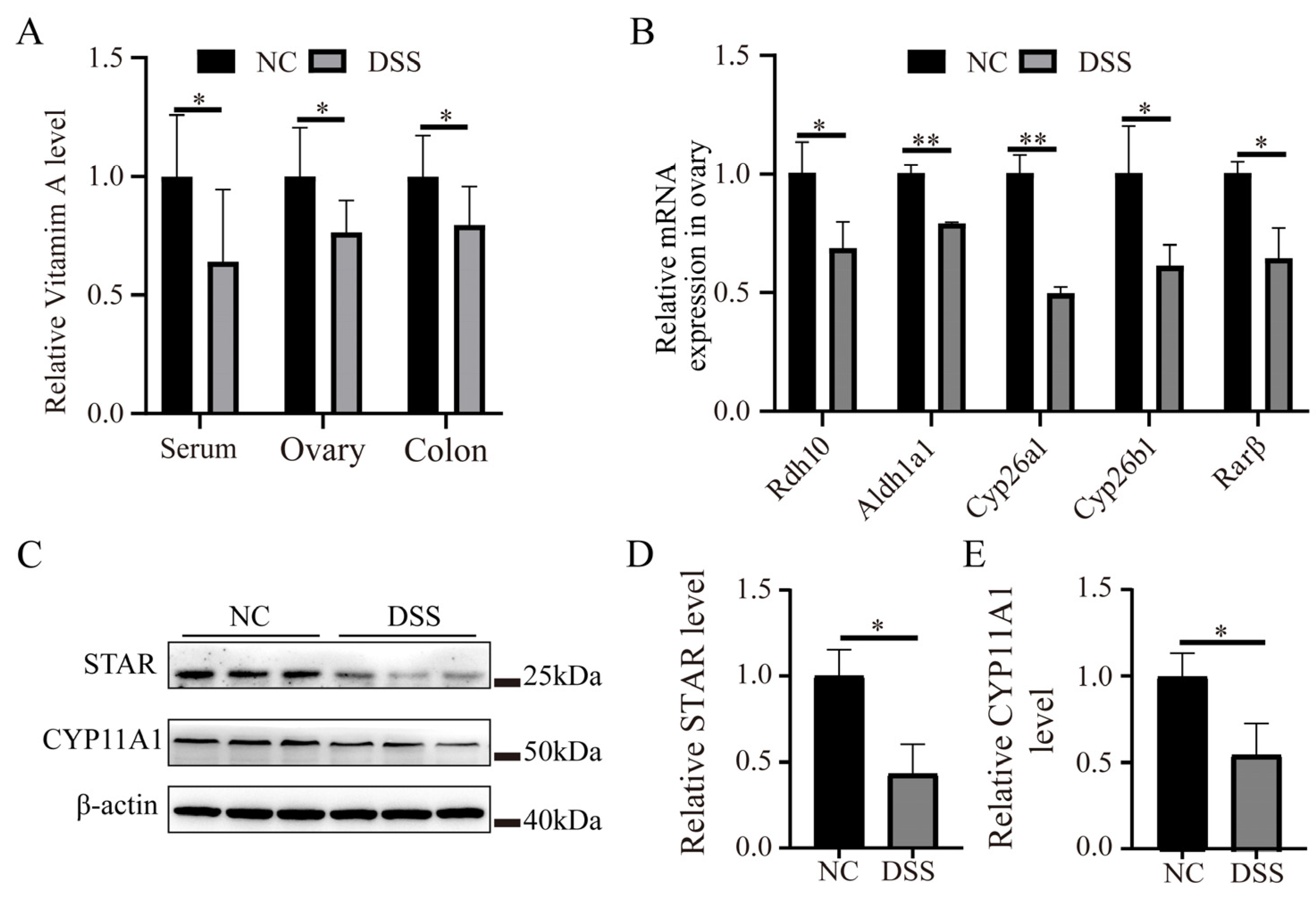 Nutrients 15 02425 g007