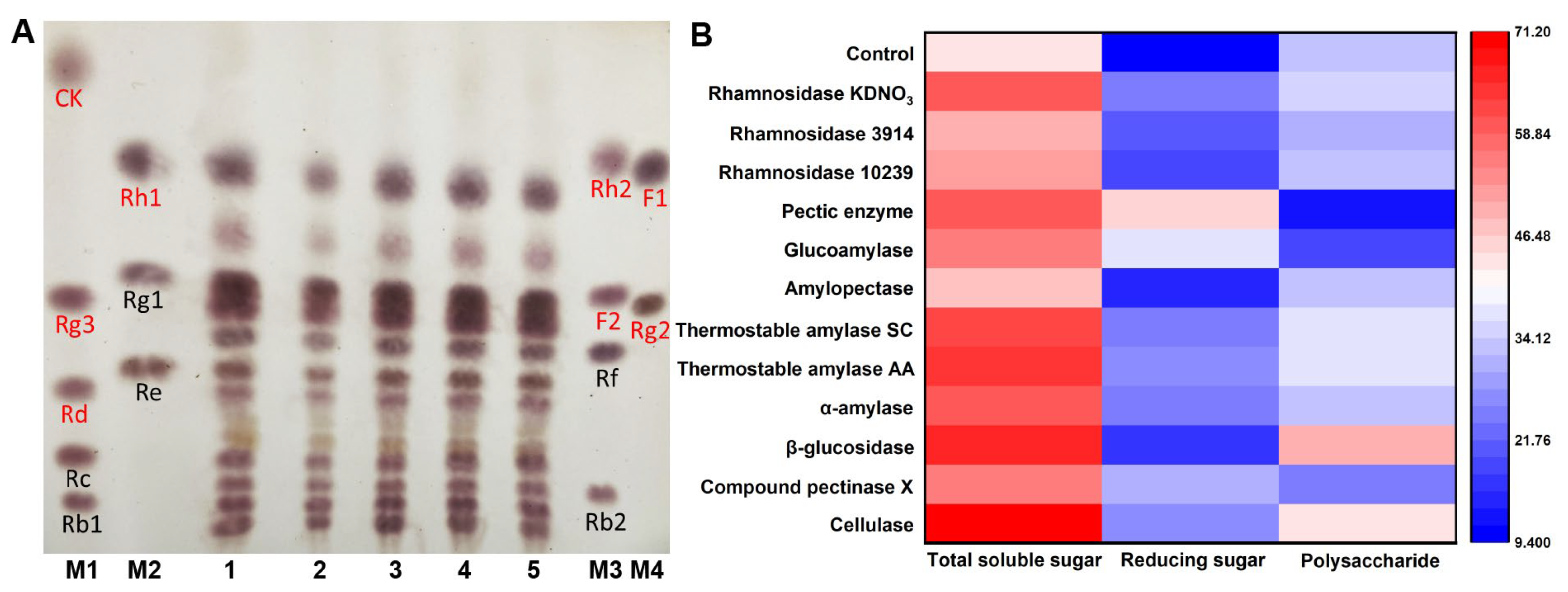 Nutrients 15 02434 g001 Nutrients 15 02434 g001