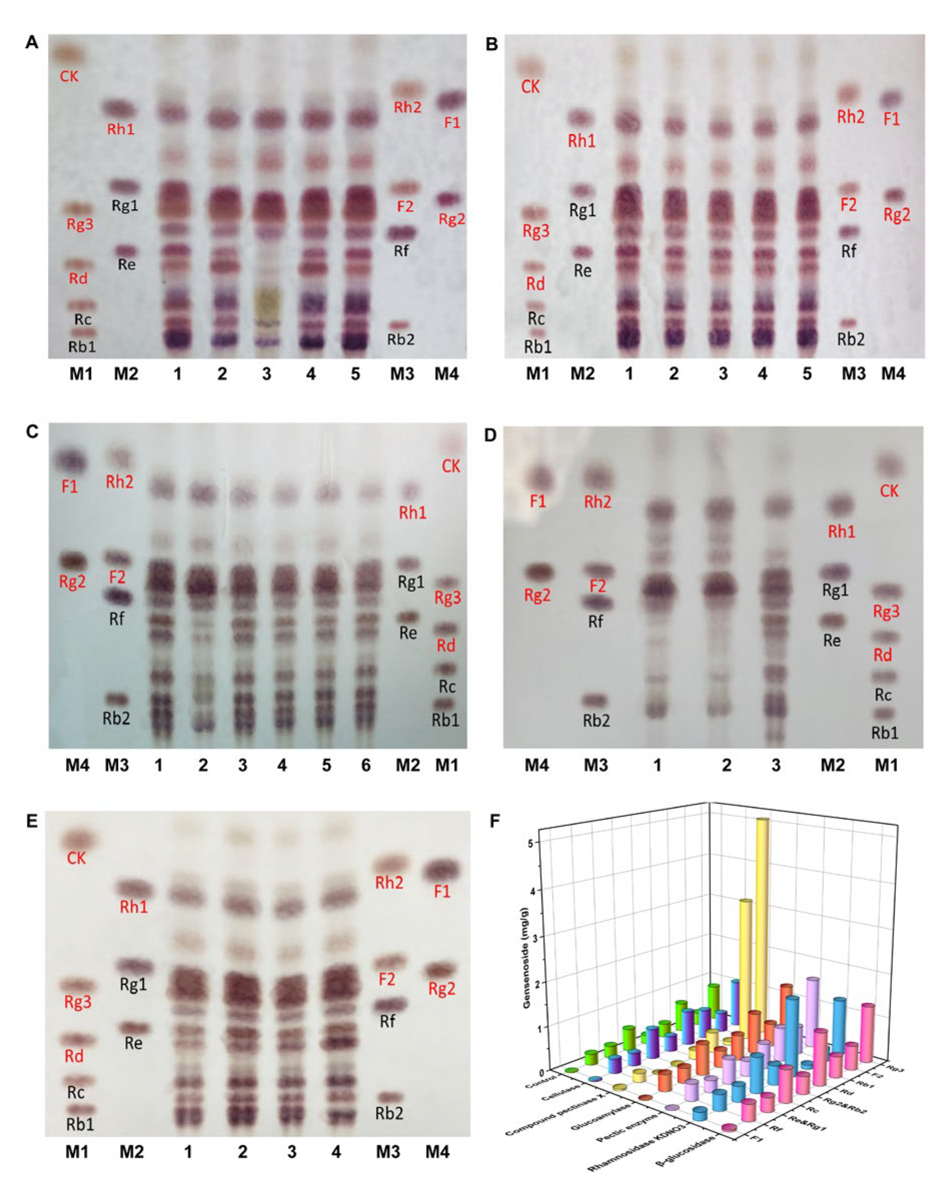 Nutrients 15 02434 g002 Nutrients 15 02434 g002