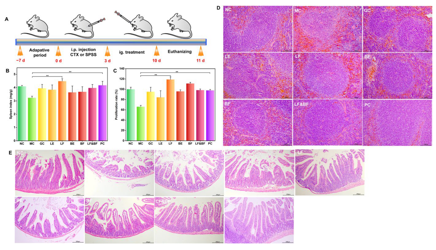 Nutrients 15 02434 g005 Nutrients 15 02434 g005