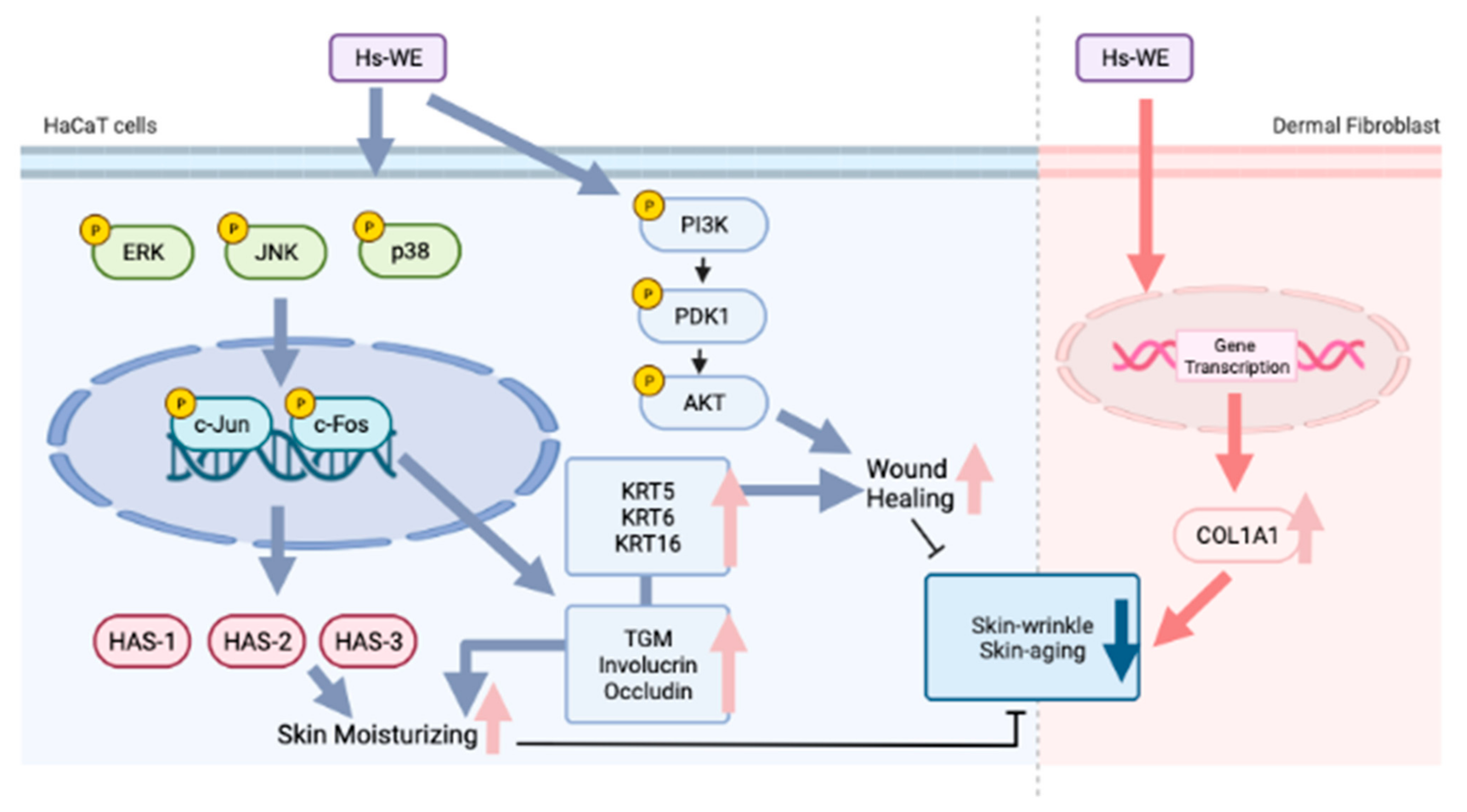 Nutrients 15 02436 g007