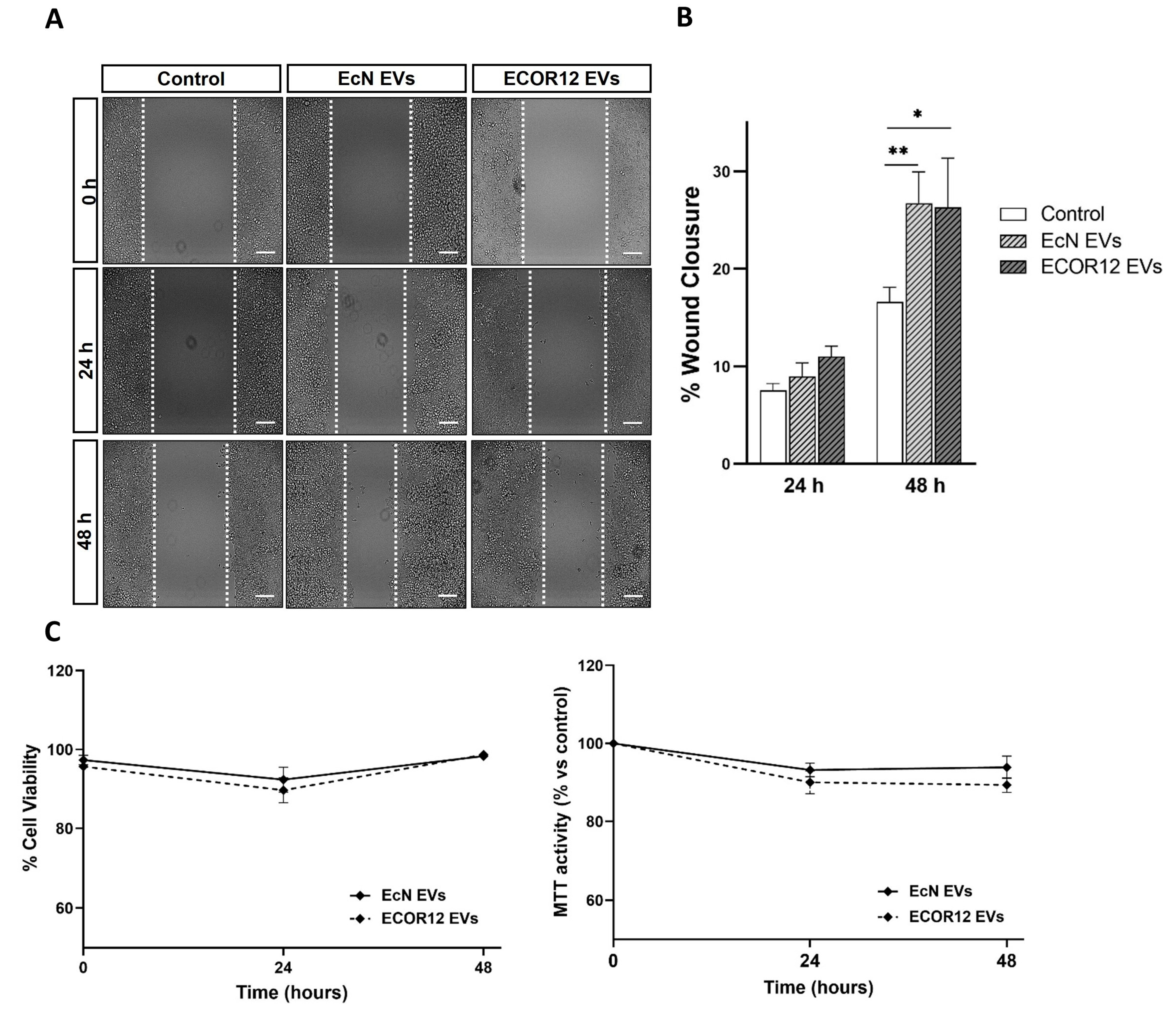 Nutrients 15 02437 g003 Nutrients 15 02437 g003