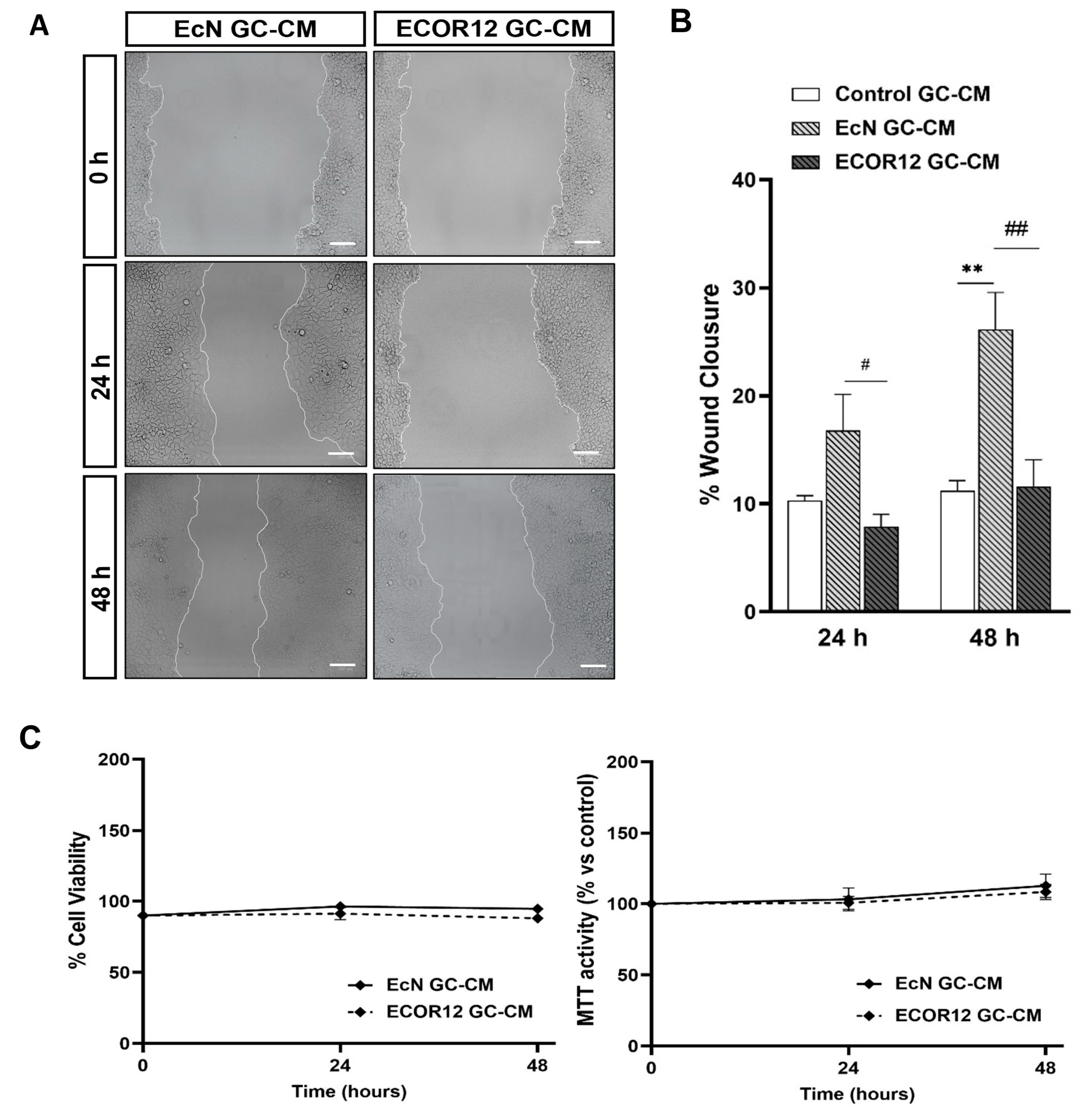 Nutrients 15 02437 g006 Nutrients 15 02437 g006