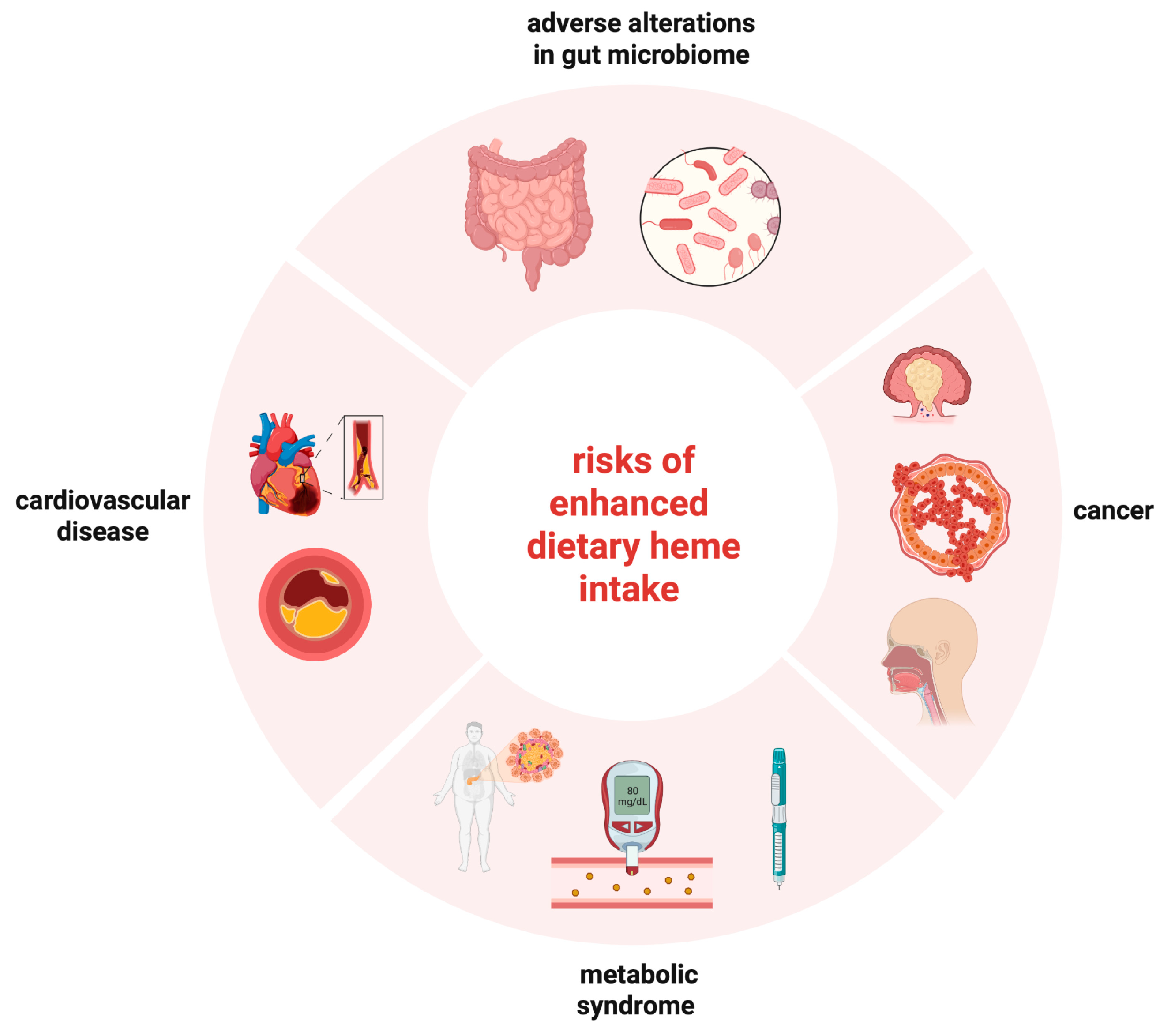 Nutrients 15 02441 g004 Nutrients 15 02441 g004