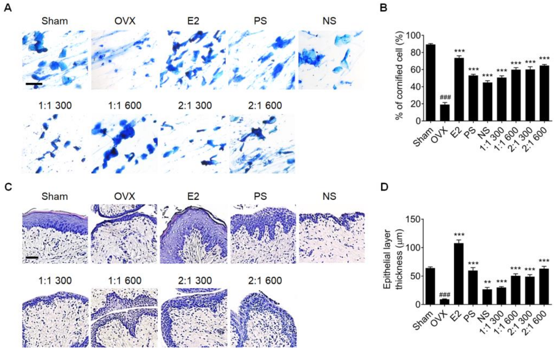 Nutrients 15 02443 g002 Nutrients 15 02443 g002