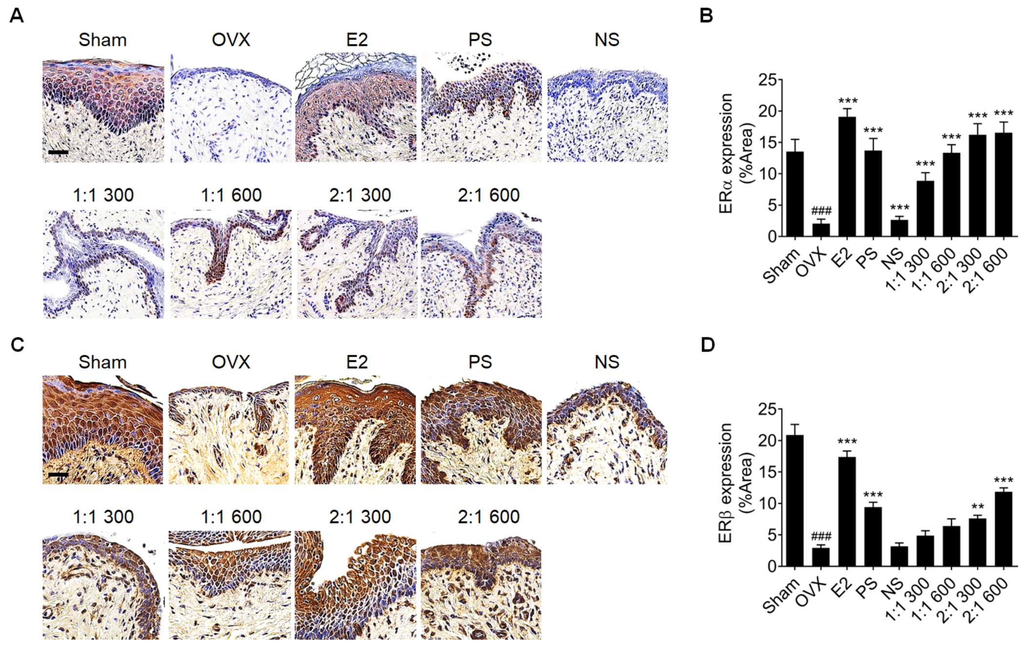 Nutrients 15 02443 g003 Nutrients 15 02443 g003