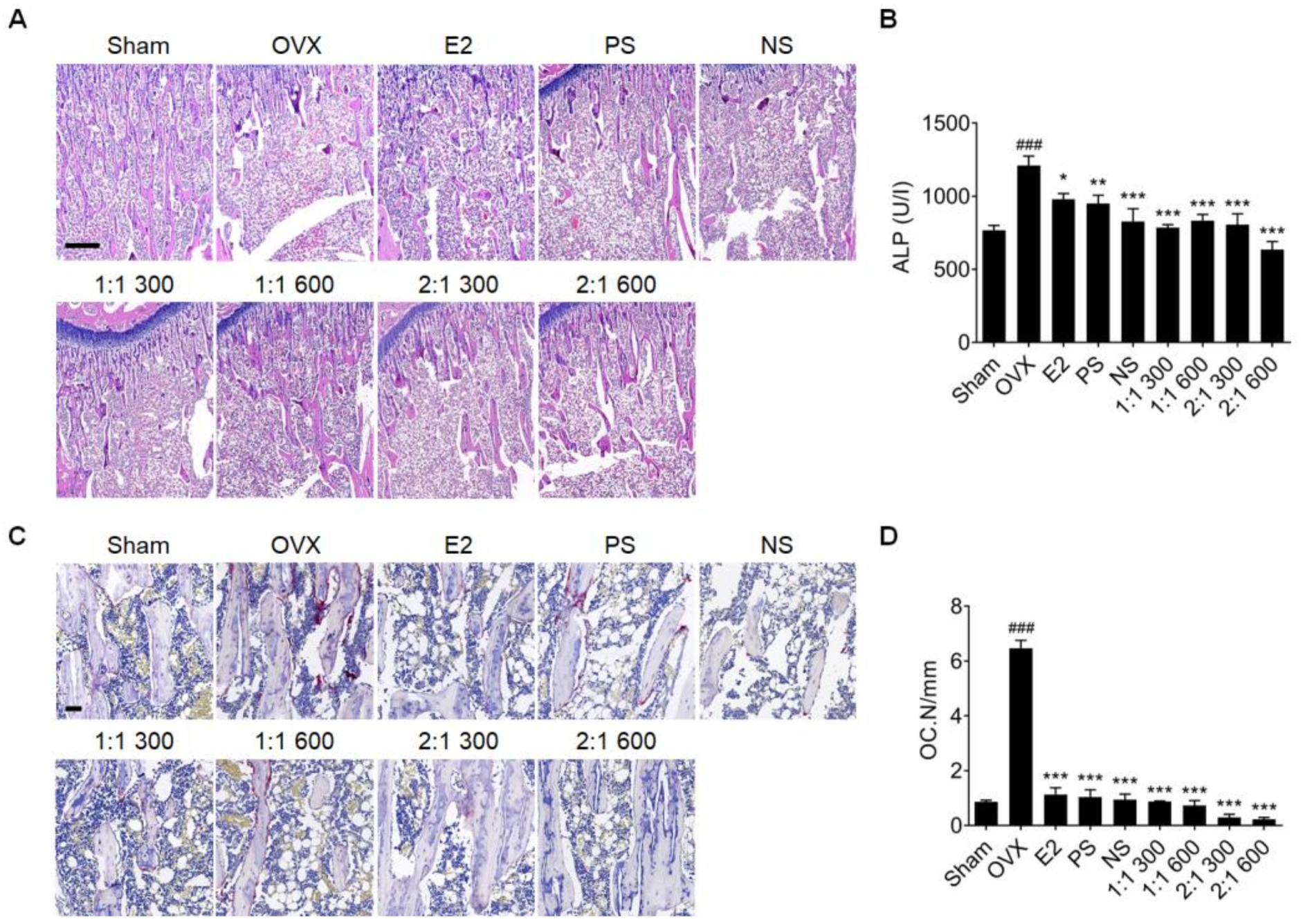 Nutrients 15 02443 g005 Nutrients 15 02443 g005