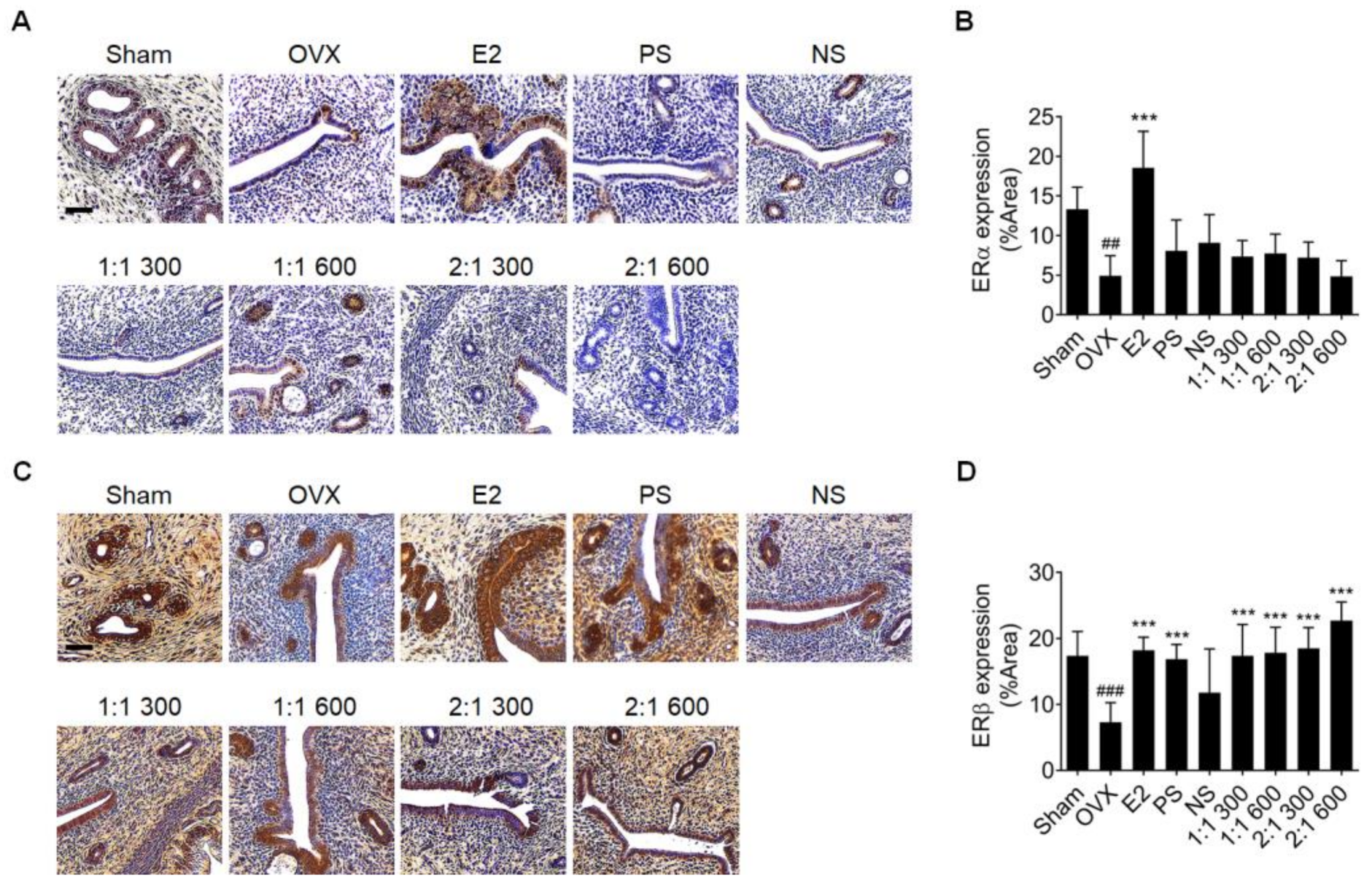 Nutrients 15 02443 g006 Nutrients 15 02443 g006