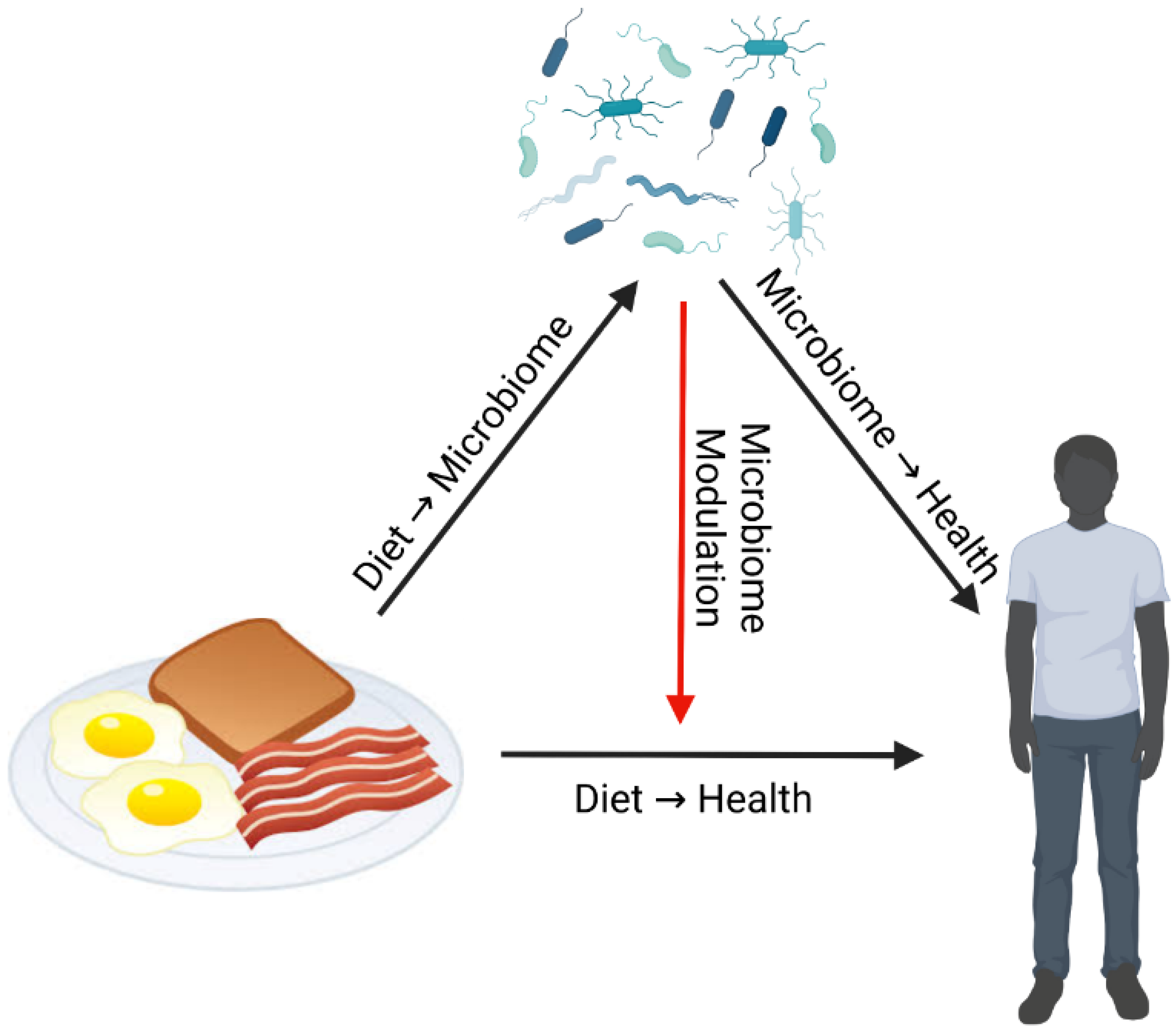 Nutrients 15 02451 g001