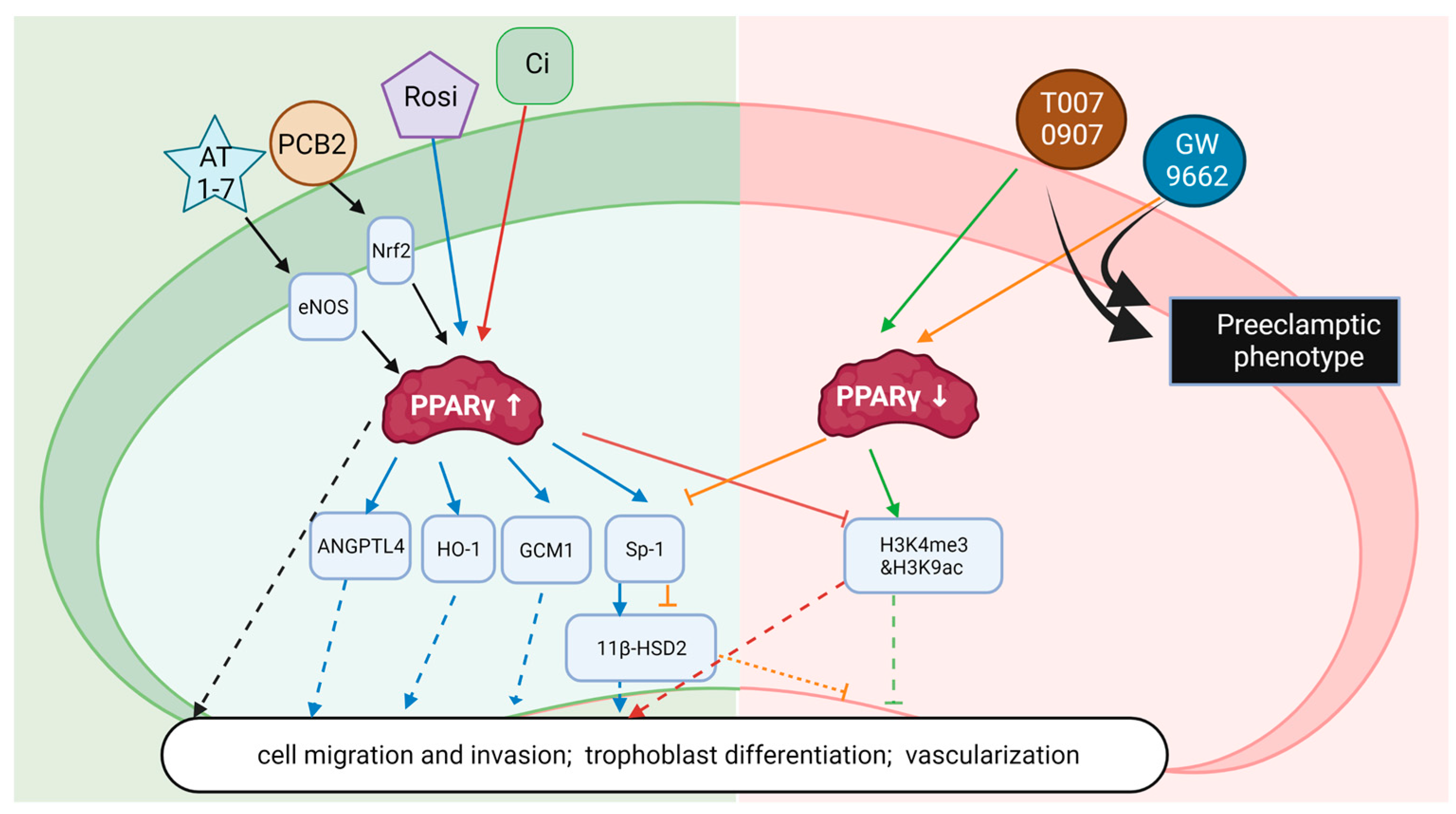 Nutrients 15 02459 g002 Nutrients 15 02459 g002