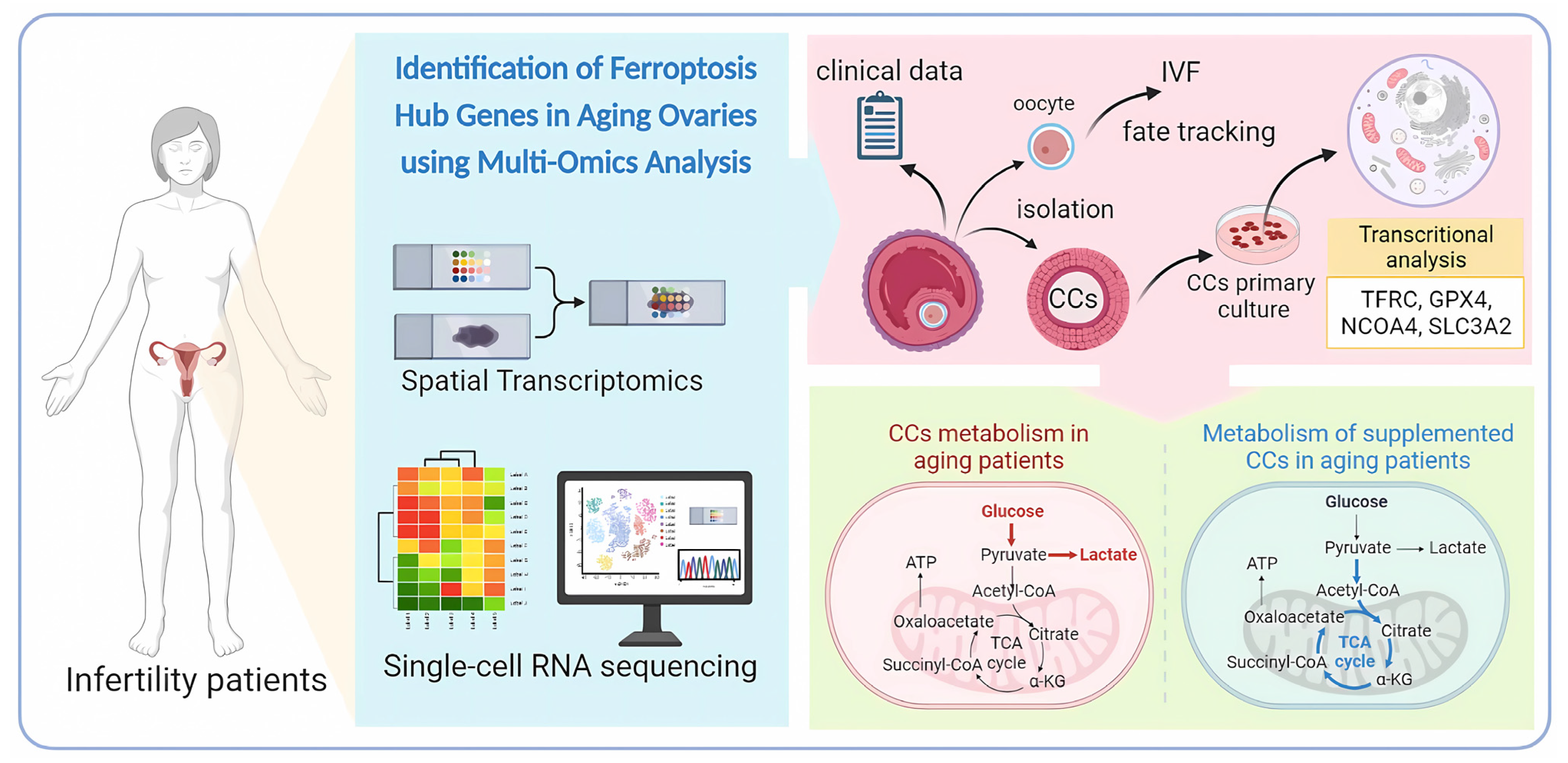 Nutrients 15 02461 g001 Nutrients 15 02461 g001