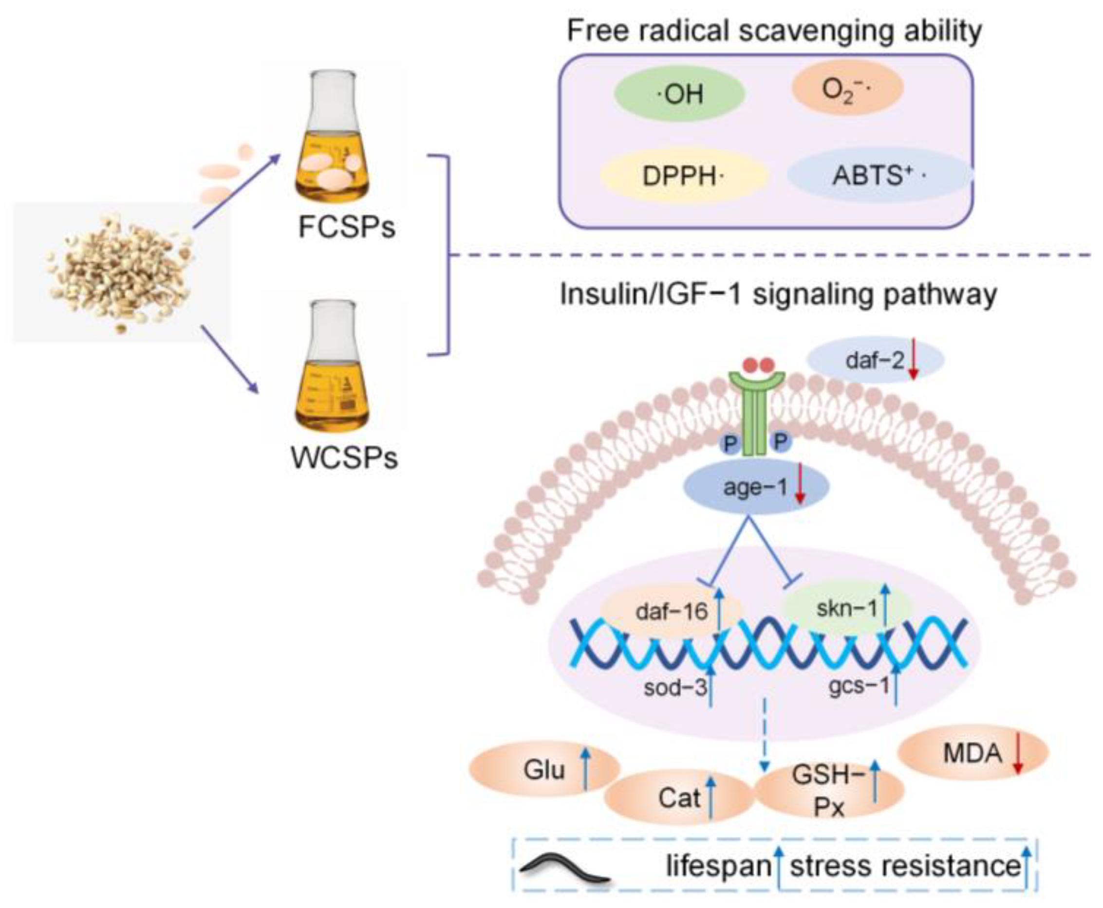 Nutrients 15 02474 g001