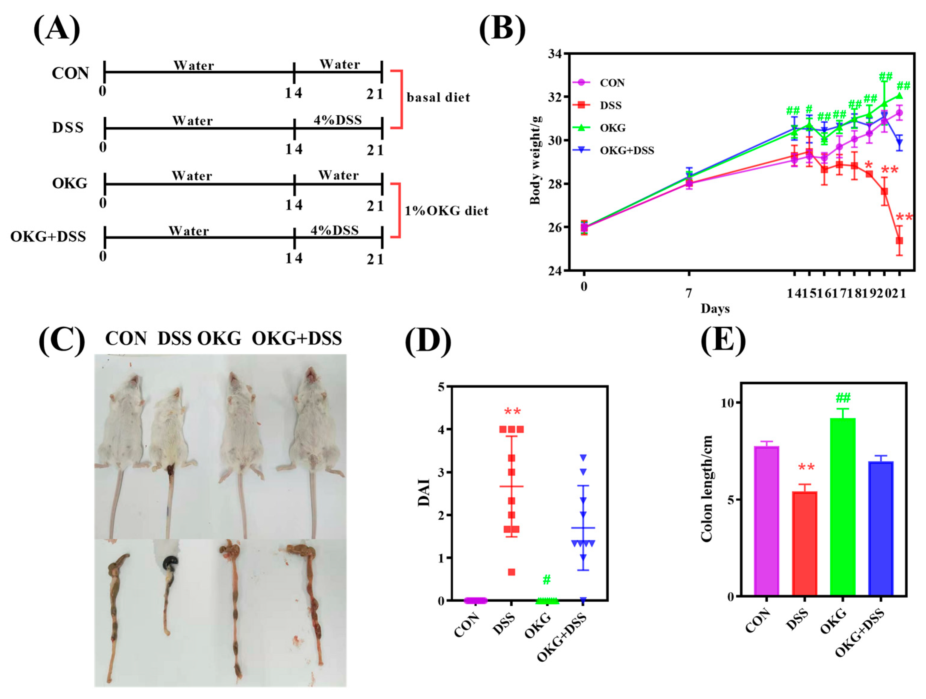 Nutrients 15 02476 g002 Nutrients 15 02476 g002