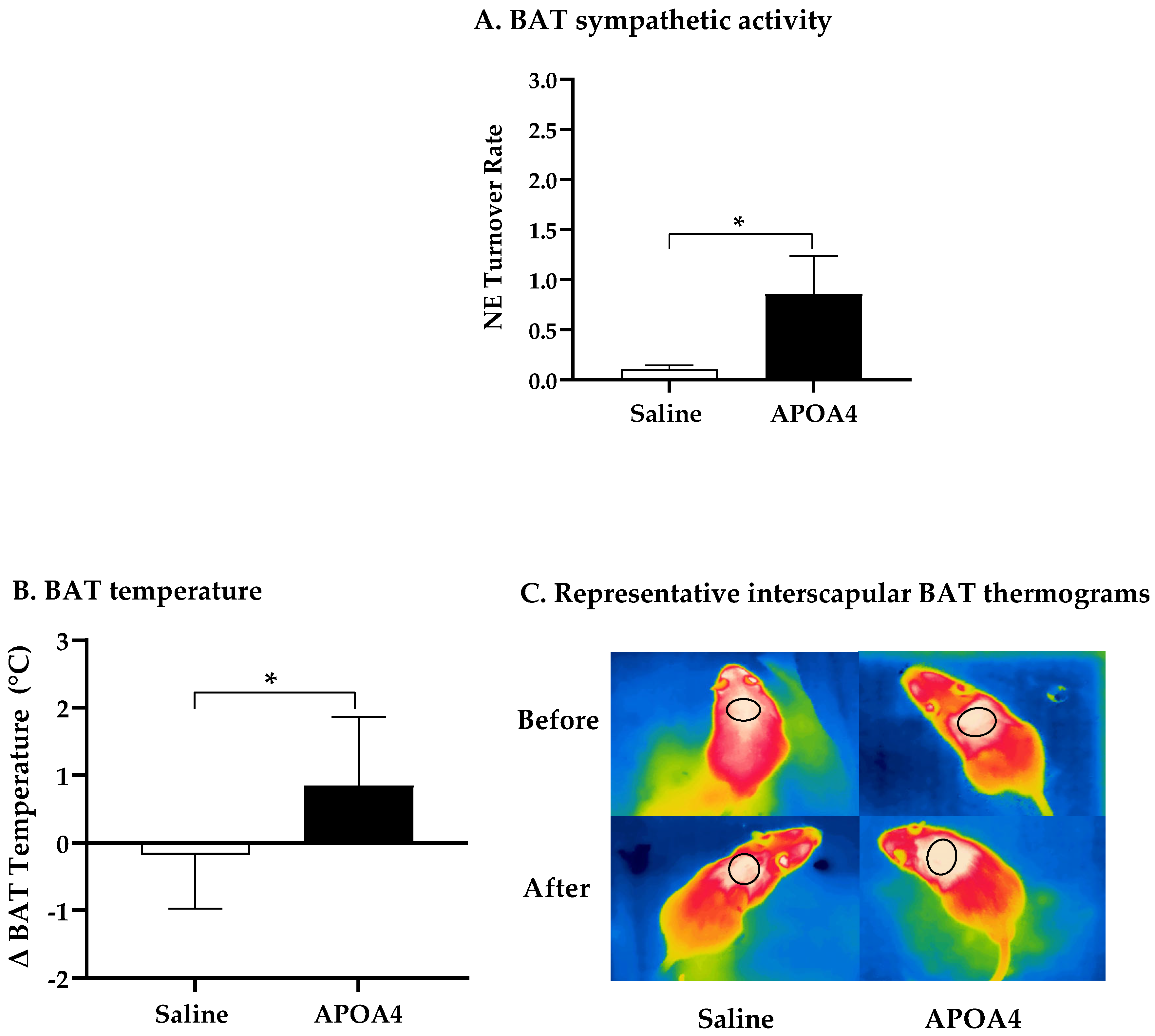 Nutrients 15 02486 g002a Nutrients 15 02486 g002a