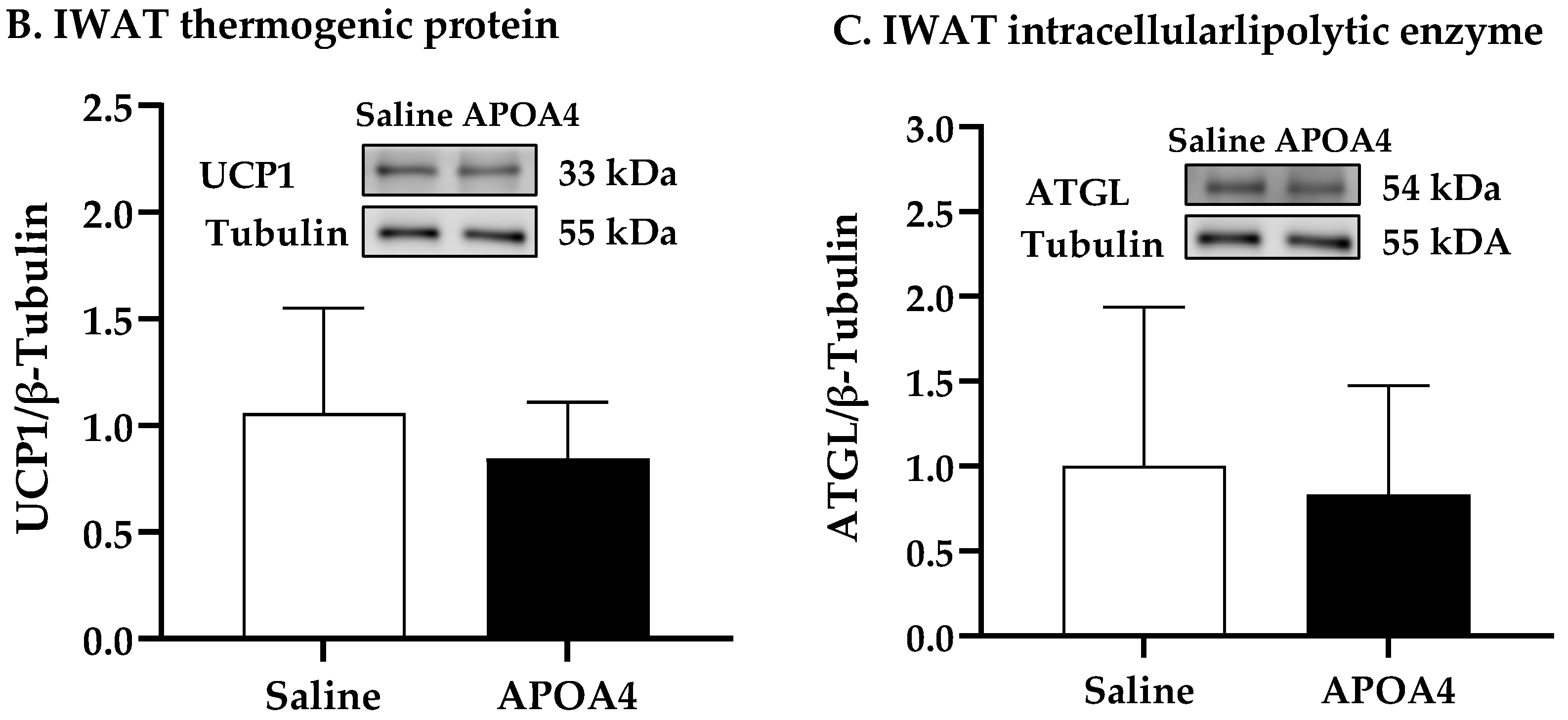 Nutrients 15 02486 g003b Nutrients 15 02486 g003b