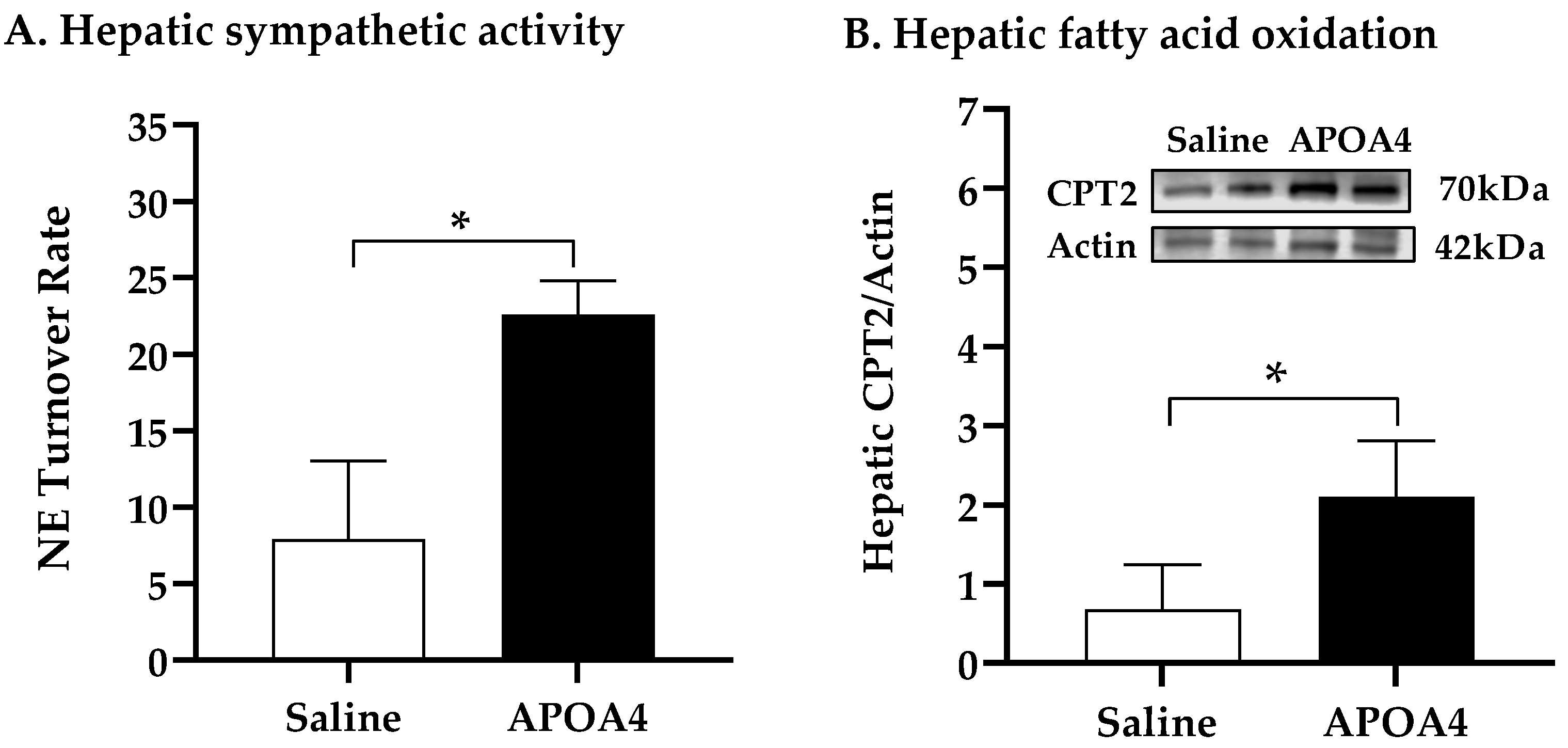 Nutrients 15 02486 g005a Nutrients 15 02486 g005a