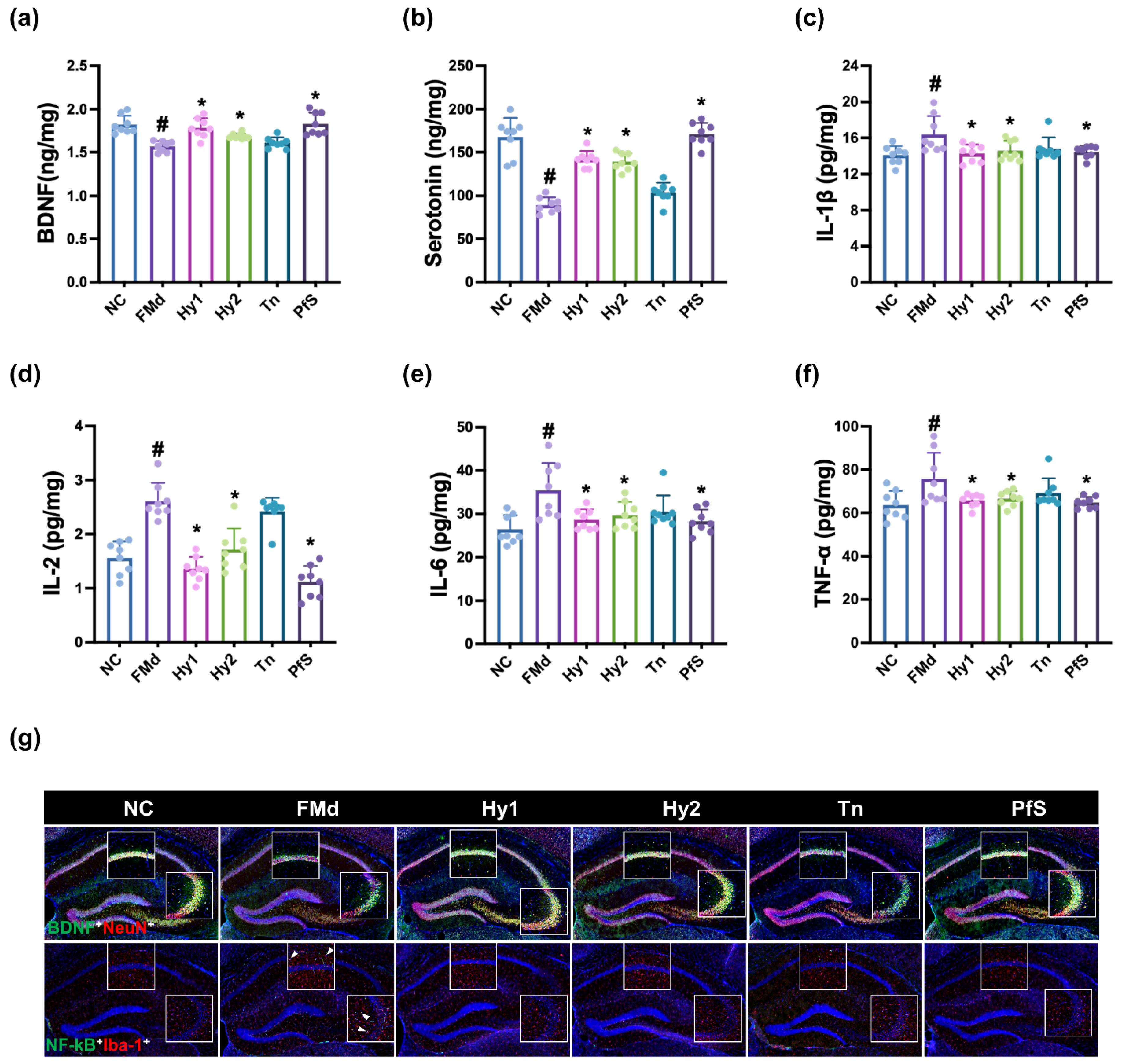 Nutrients 15 02488 g008 Nutrients 15 02488 g008