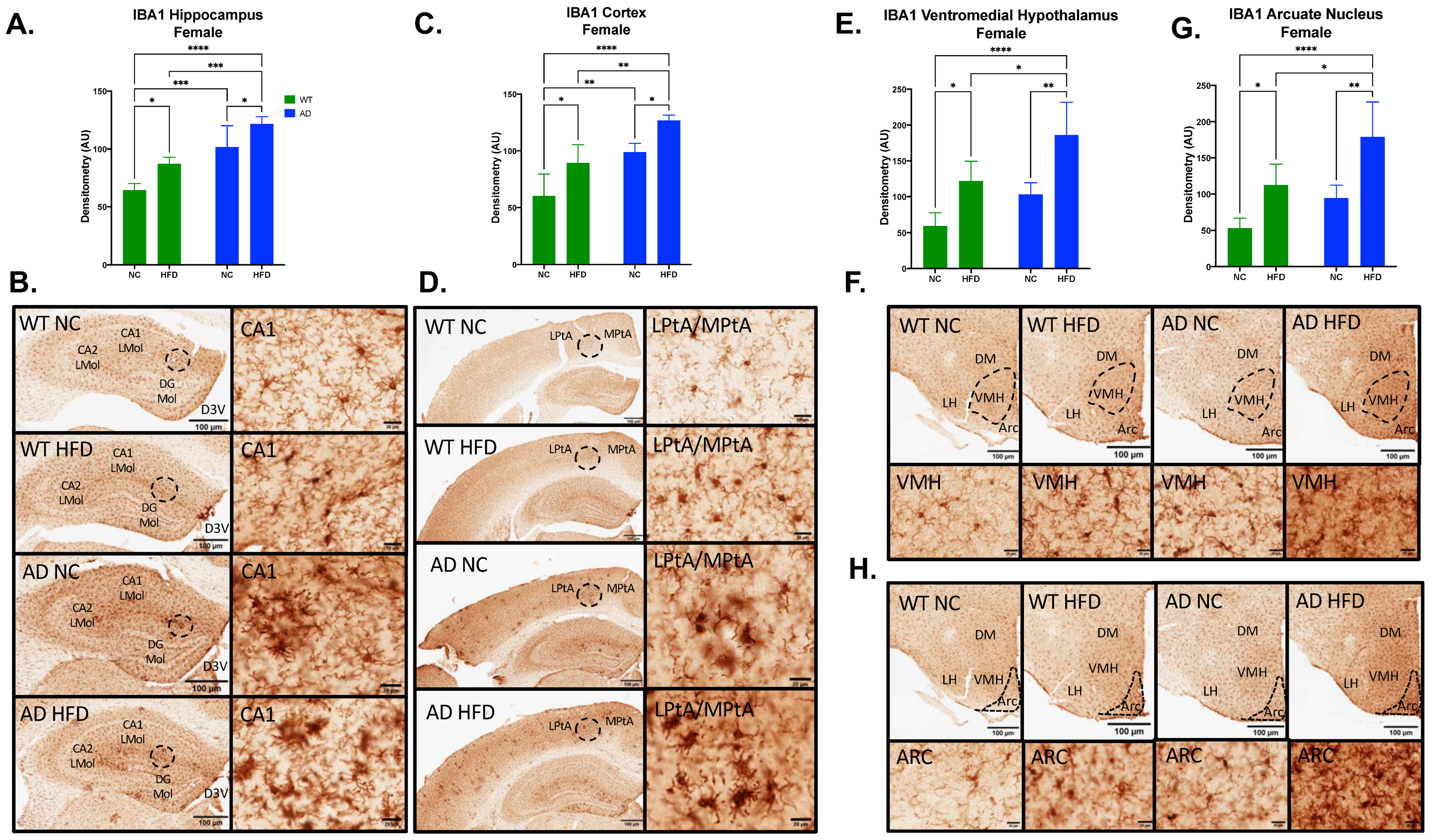 Nutrients 15 02494 g006