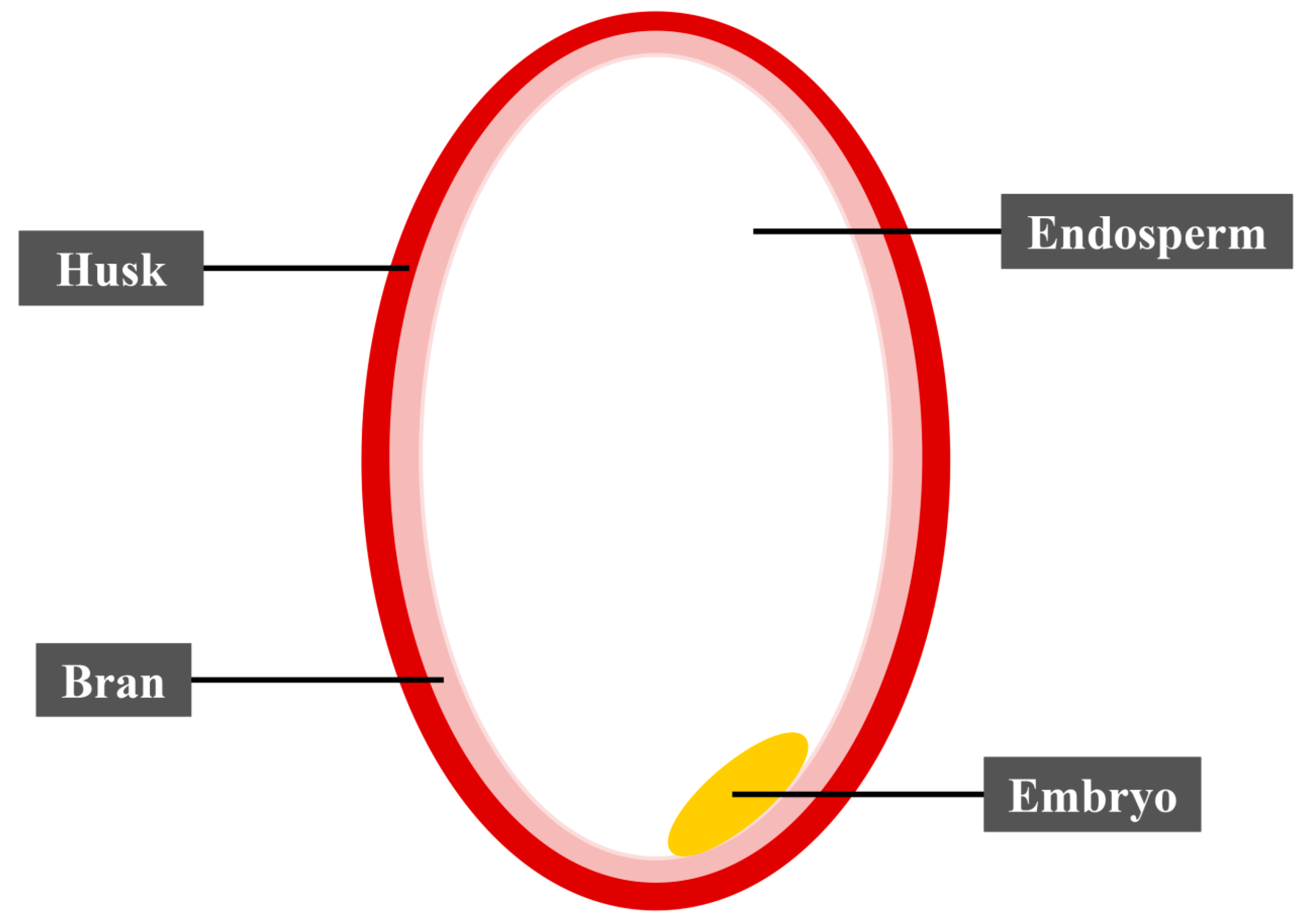 Nutrients 15 02503 g001 Nutrients 15 02503 g001