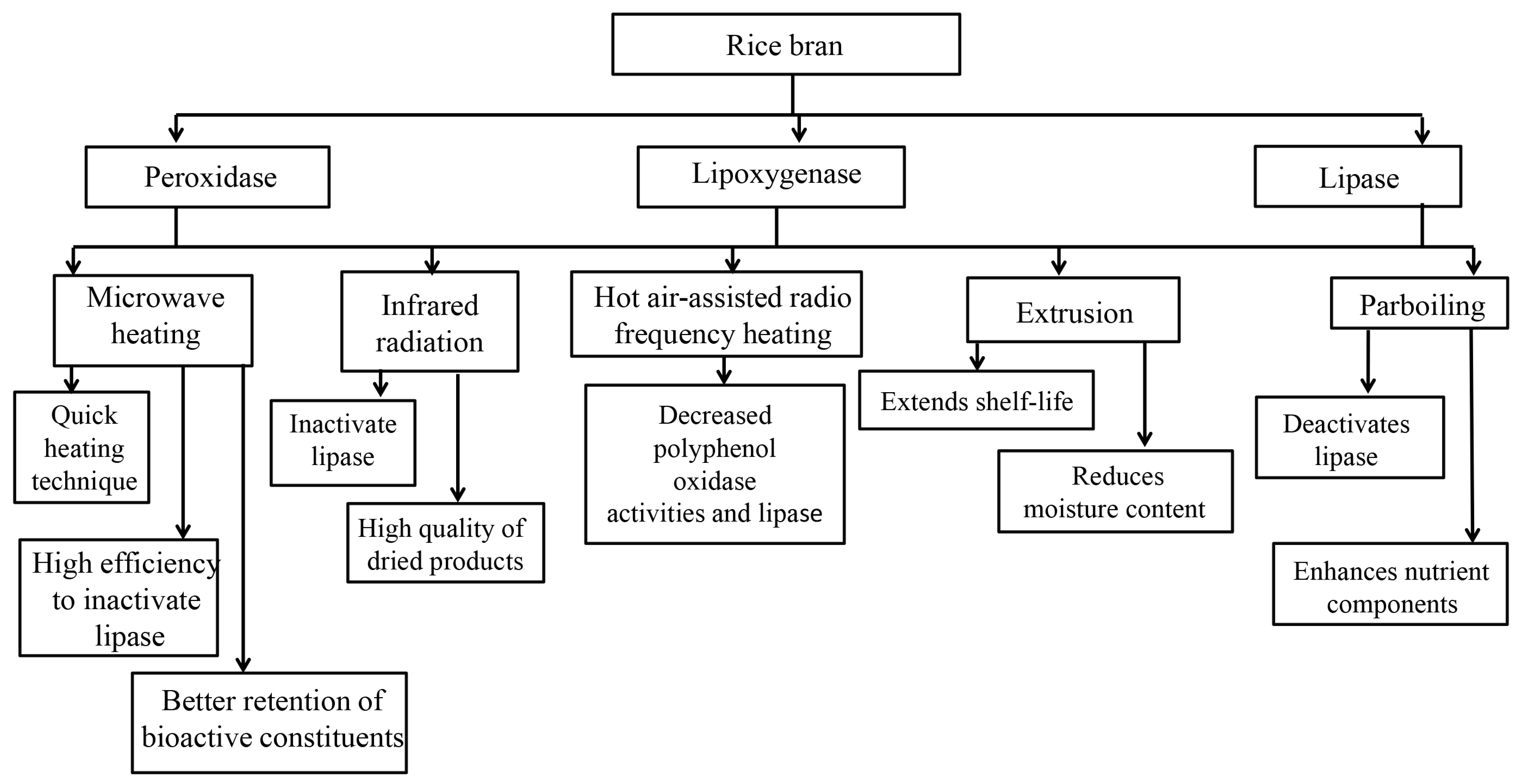 Nutrients 15 02503 g002 Nutrients 15 02503 g002
