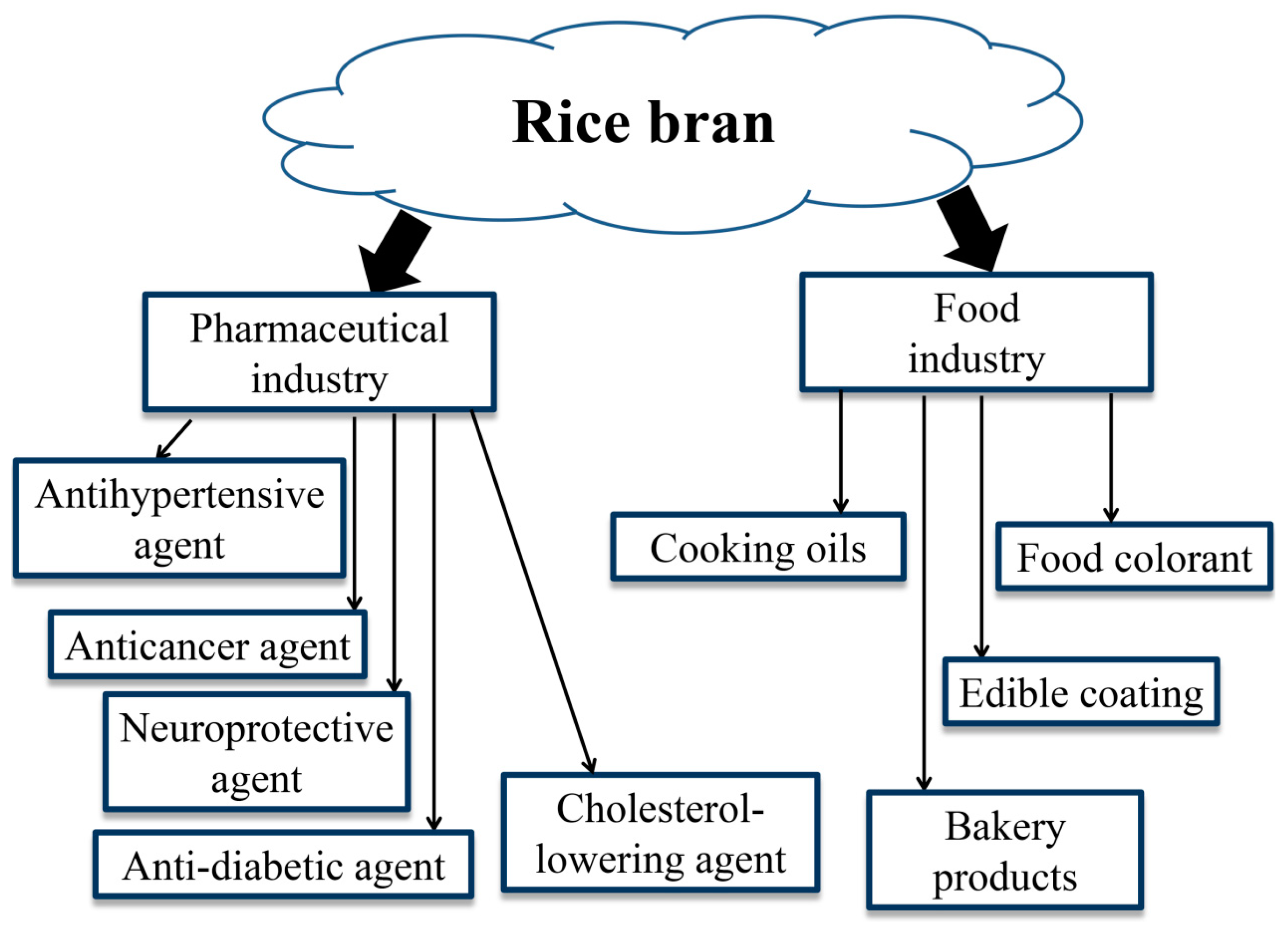 Nutrients Free FullText Rice Bran From Waste to Nutritious Food Ingredients