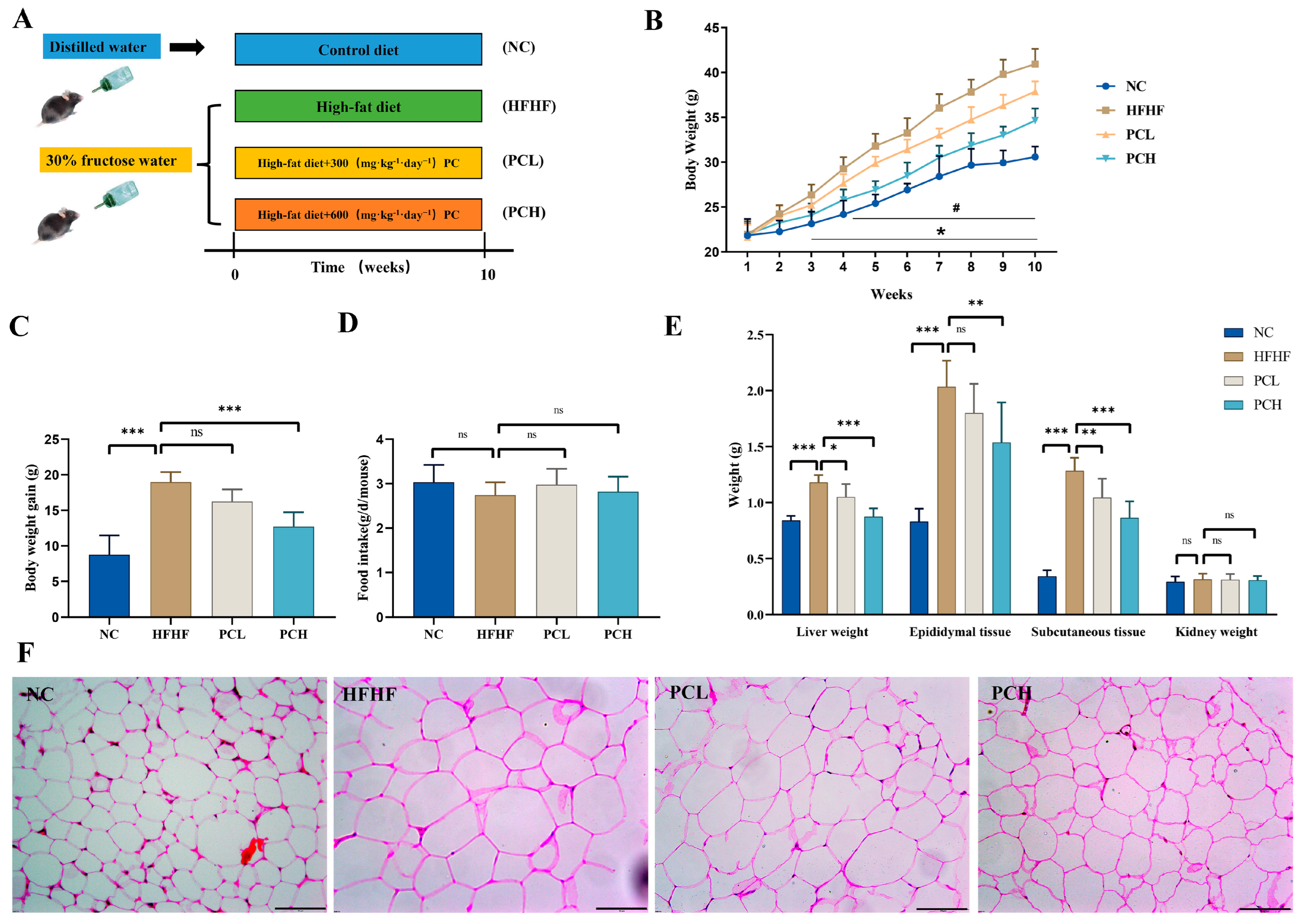Nutrients 15 02507 g001 Nutrients 15 02507 g001