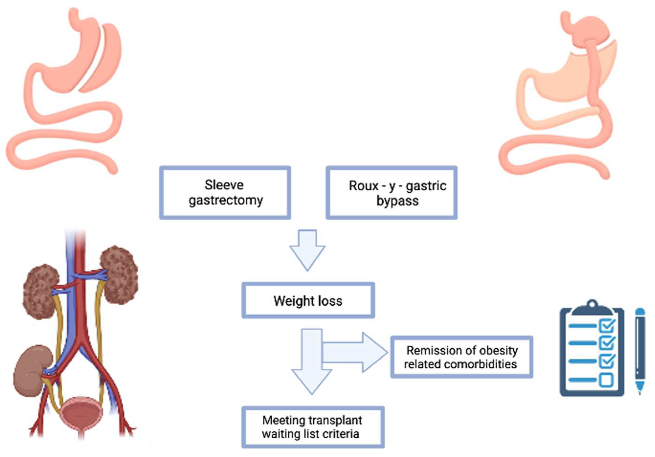 Nutrients 15 02508 g002